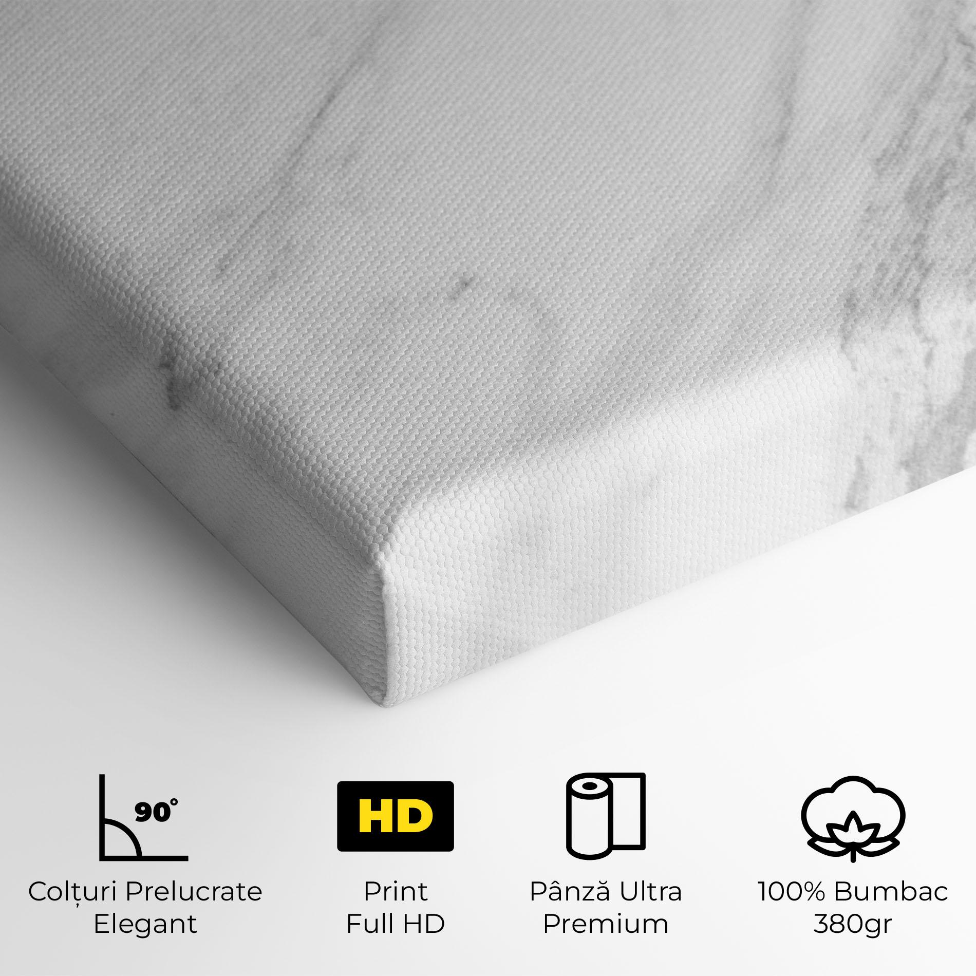 Tablou Canvas Light Grey Marble mockup 4