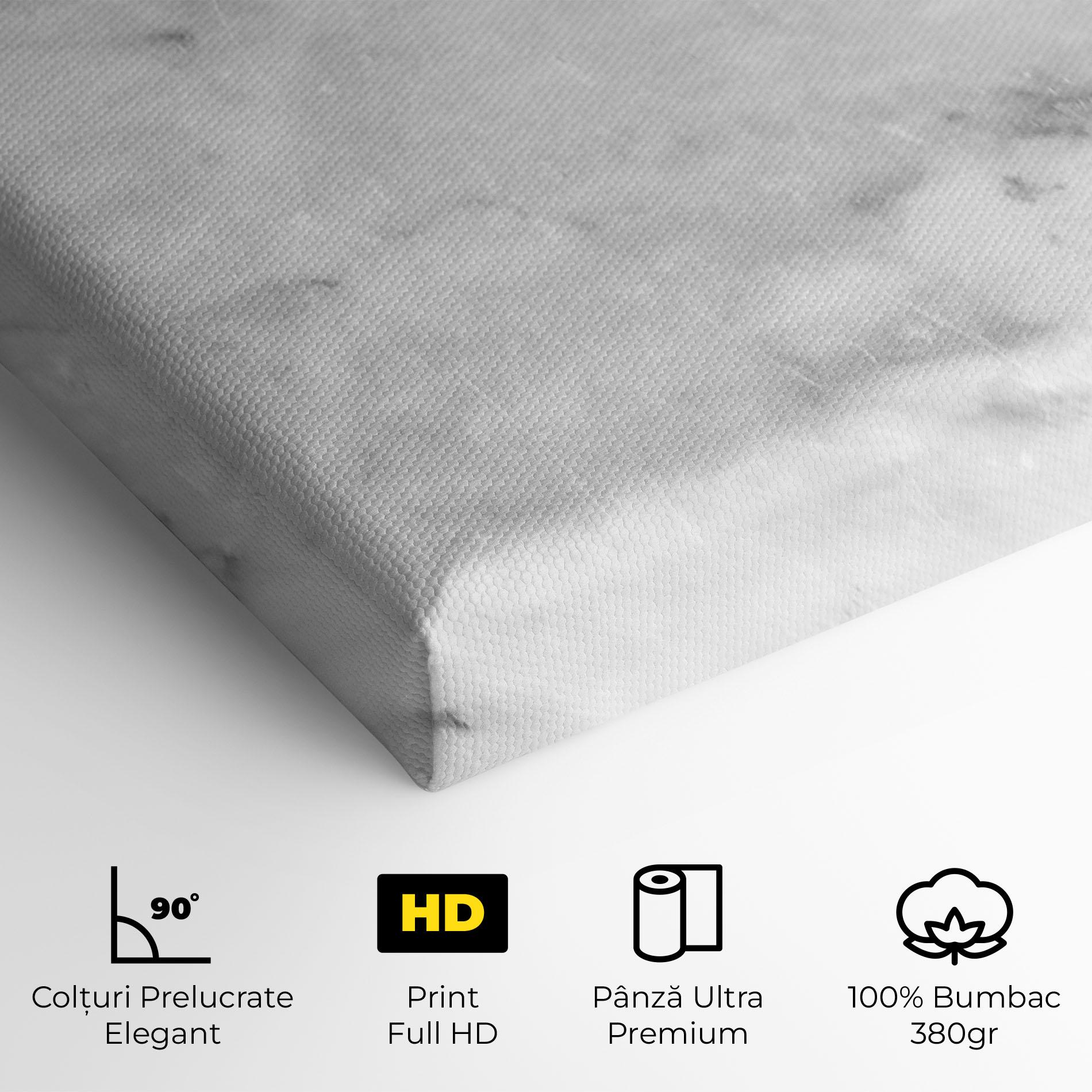 Tablou Canvas Marble Light Grey mockup 4