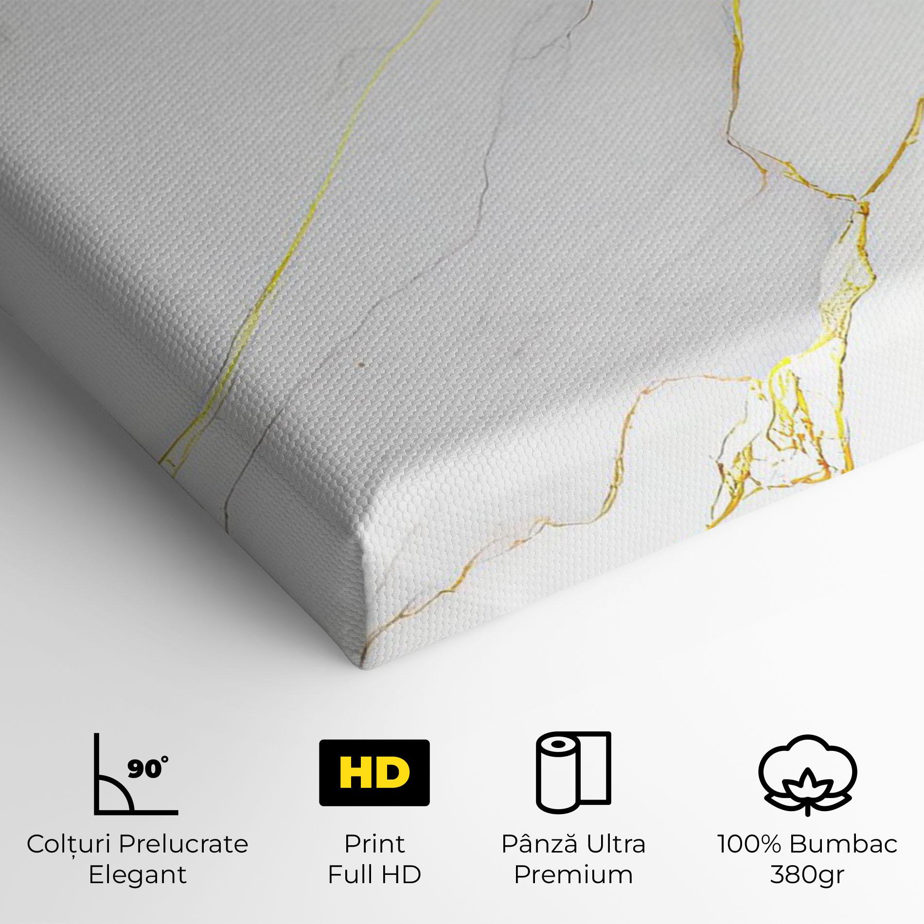 Tablou Canvas White Grey Golden Lines mockup 4