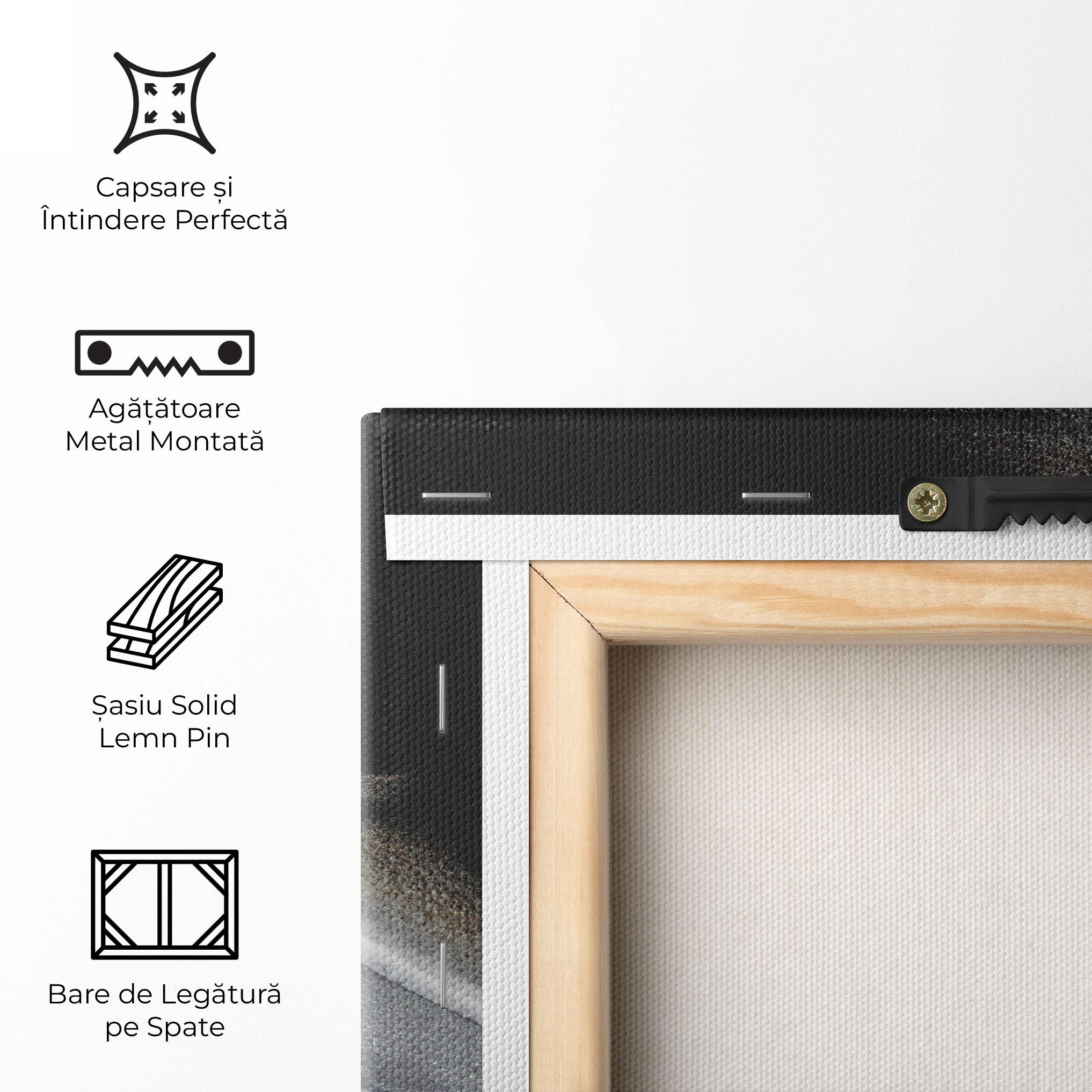 Tablou Canvas Black Light Grey mockup 5