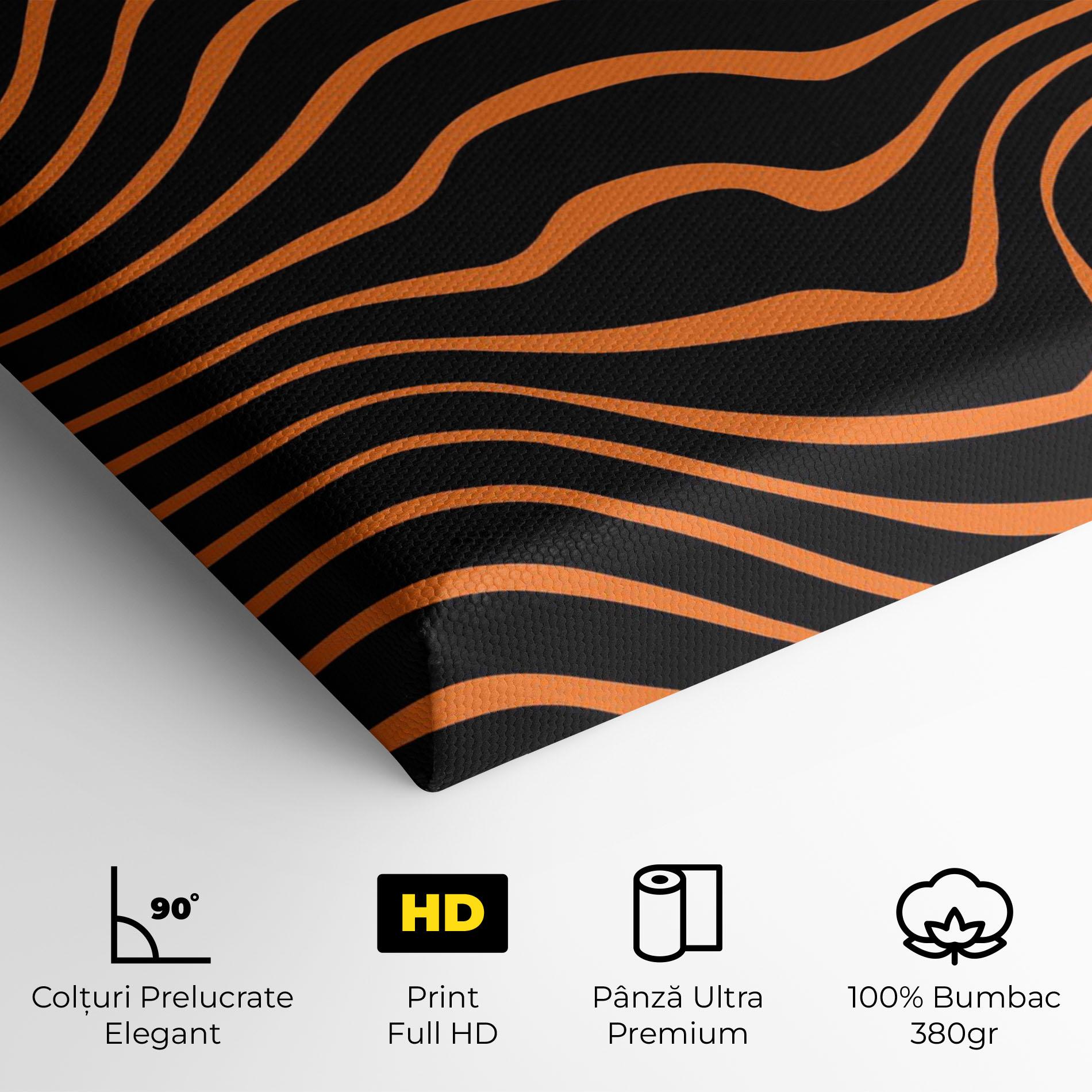 Tablou Canvas Black Circle mockup 4