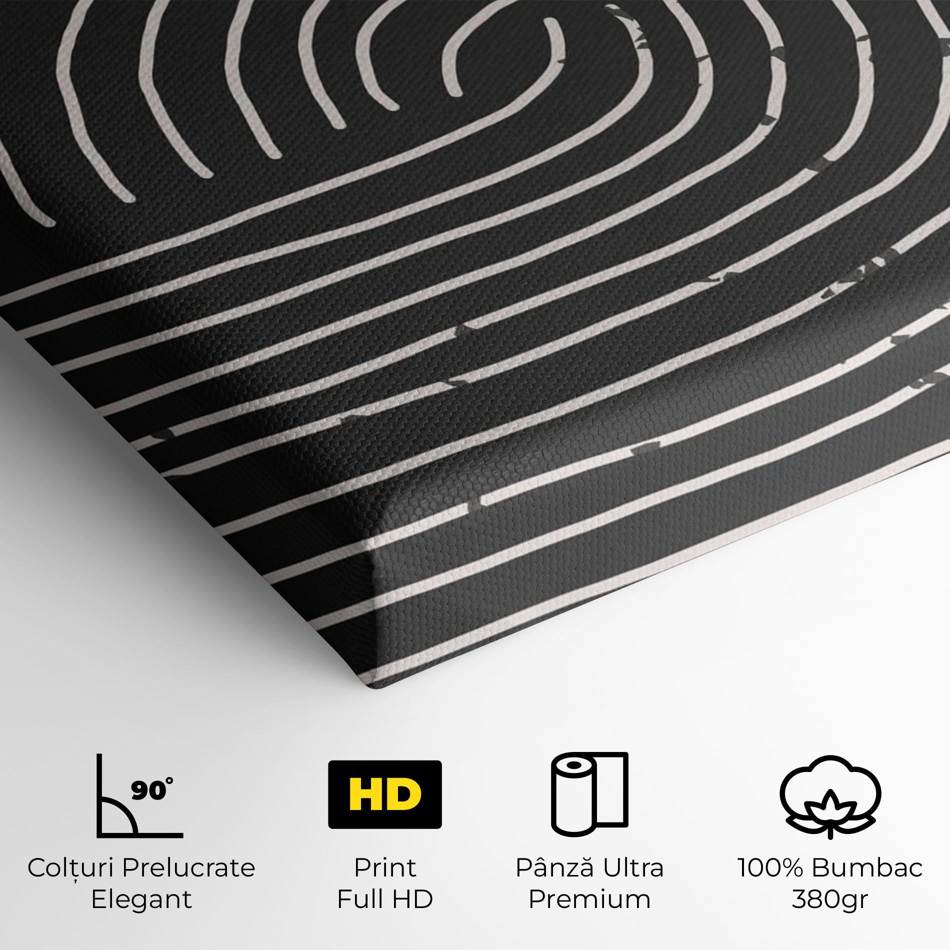 Tablou Canvas Minimalist Circle mockup 4