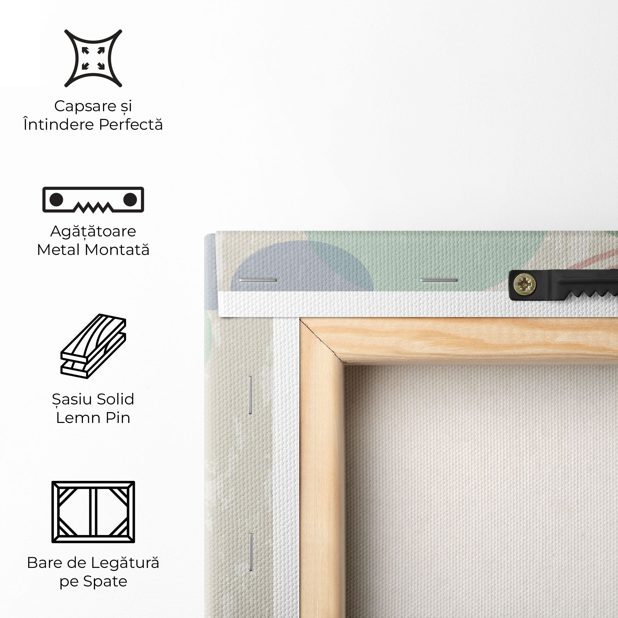 Green Pink Shapes mockup 5