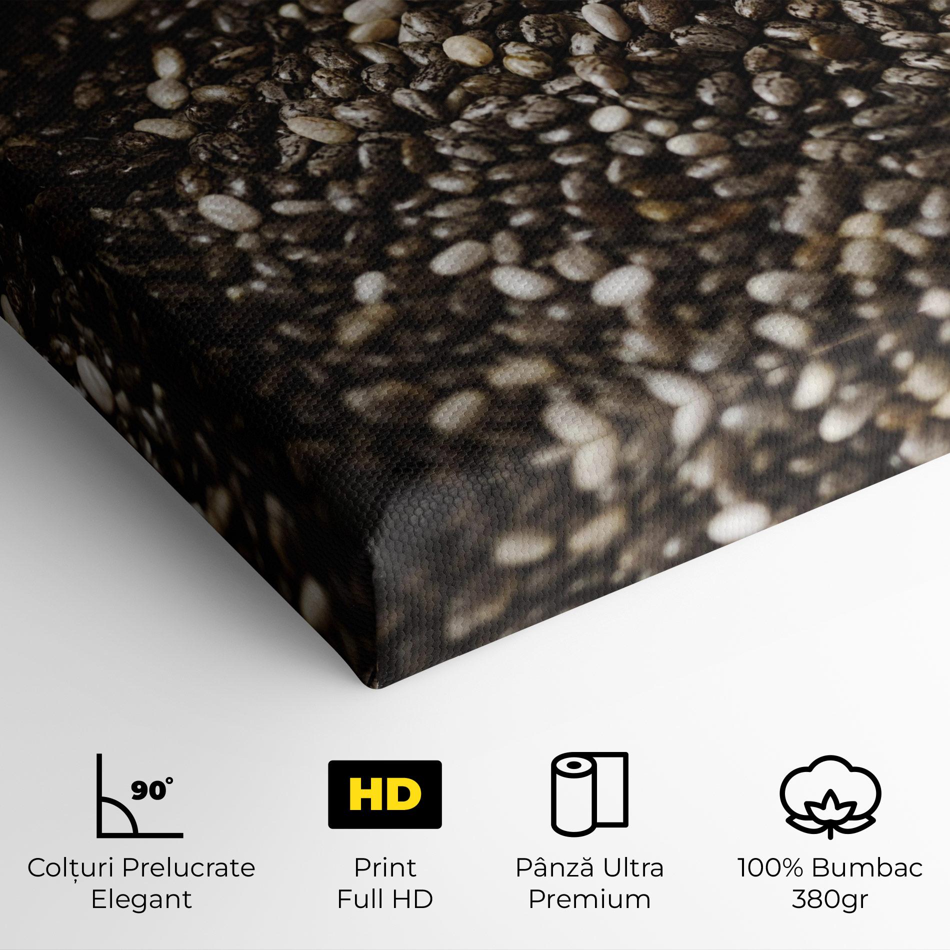 Tablou Canvas Organic Seeds mockup 4