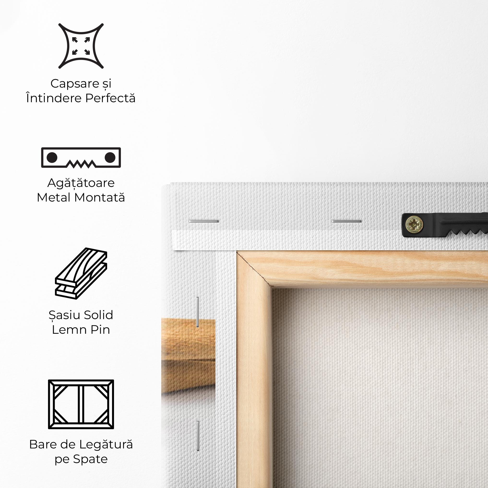 Tablou Canvas Cinnamon Anise mockup 5