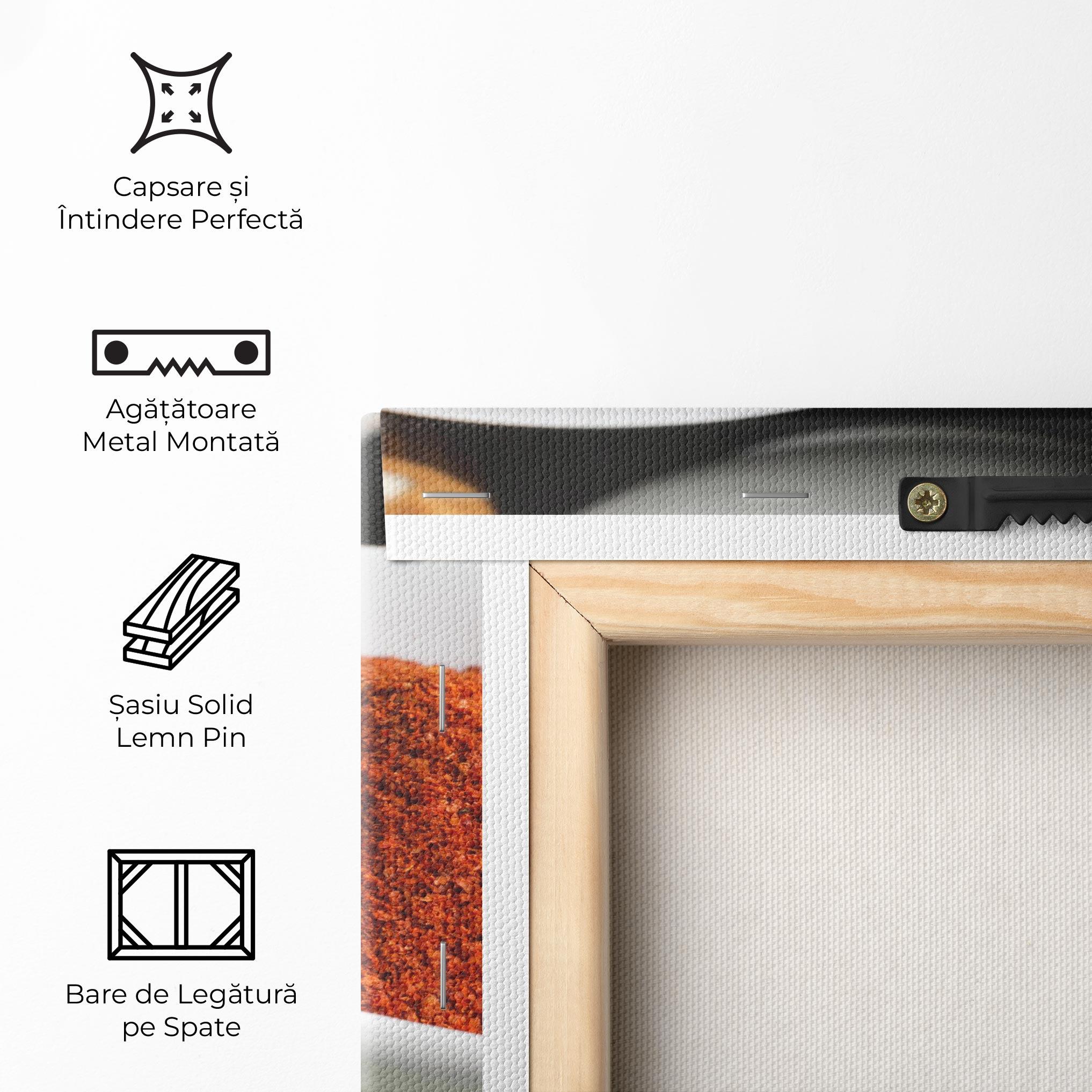 Tablou Canvas Close Up Spices Powder mockup 5