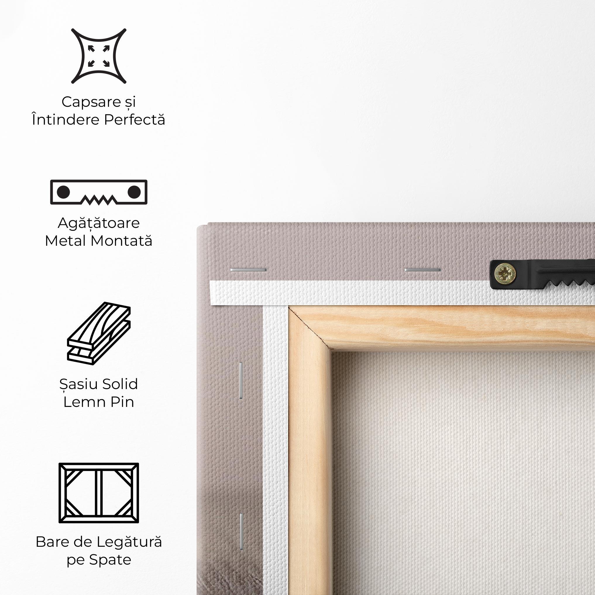 Tablou Canvas Biscuits mockup 5