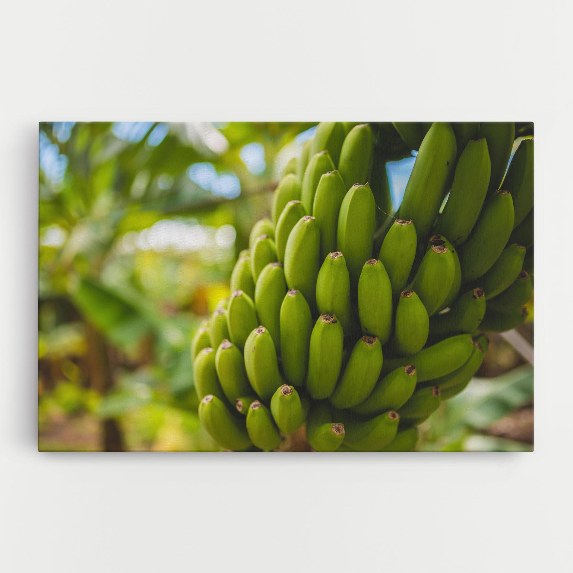 Tablou Canvas Green Banana mockup 0