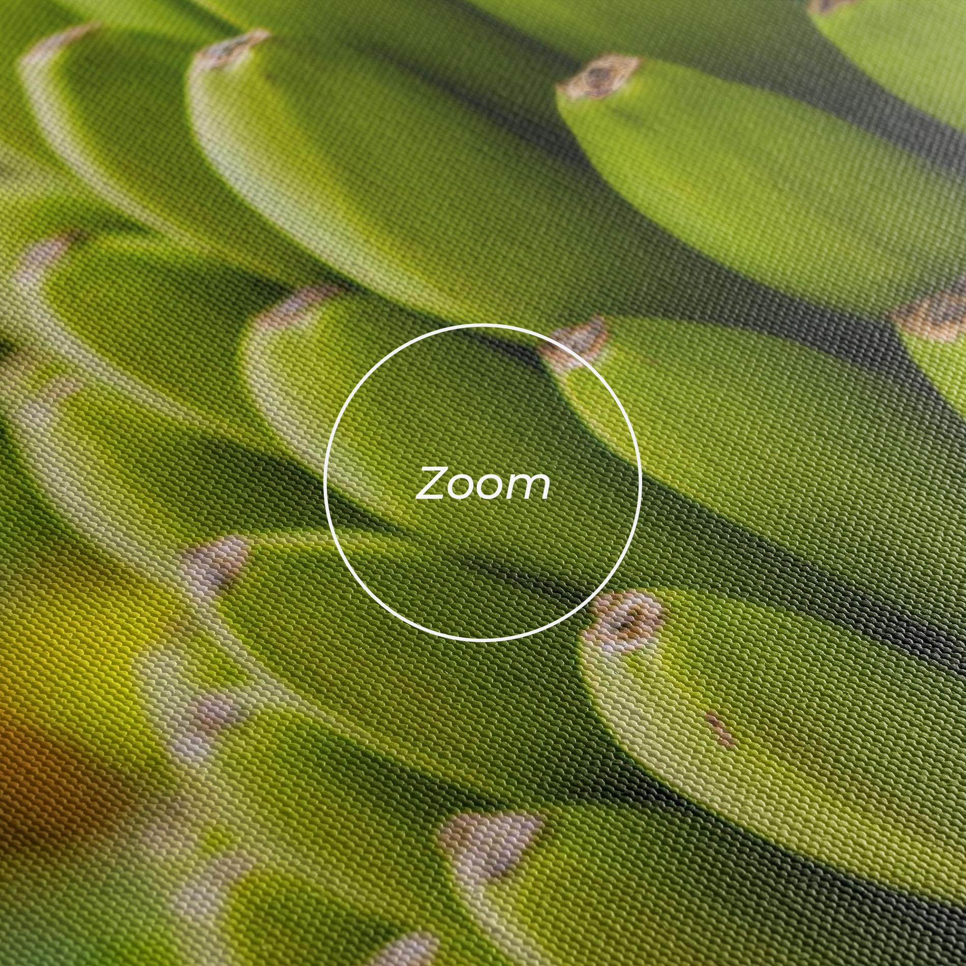 Tablou Canvas Green Banana mockup 3
