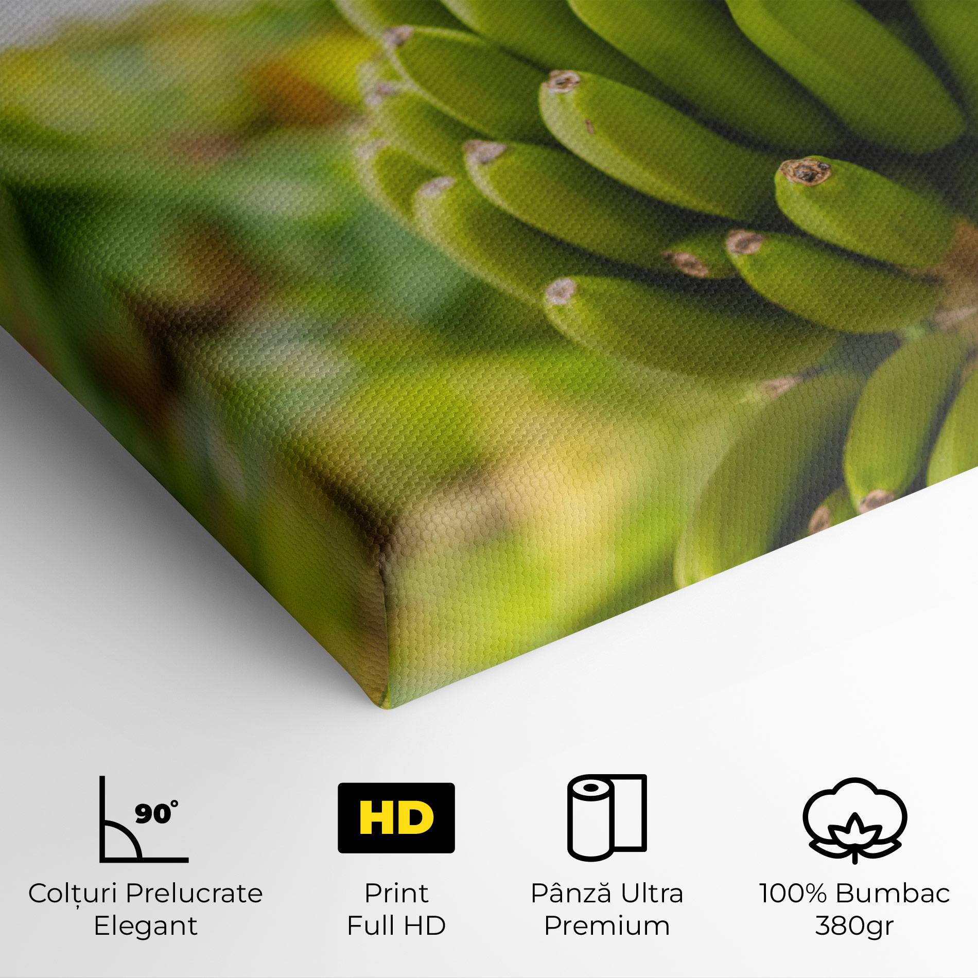 Tablou Canvas Green Banana mockup 4