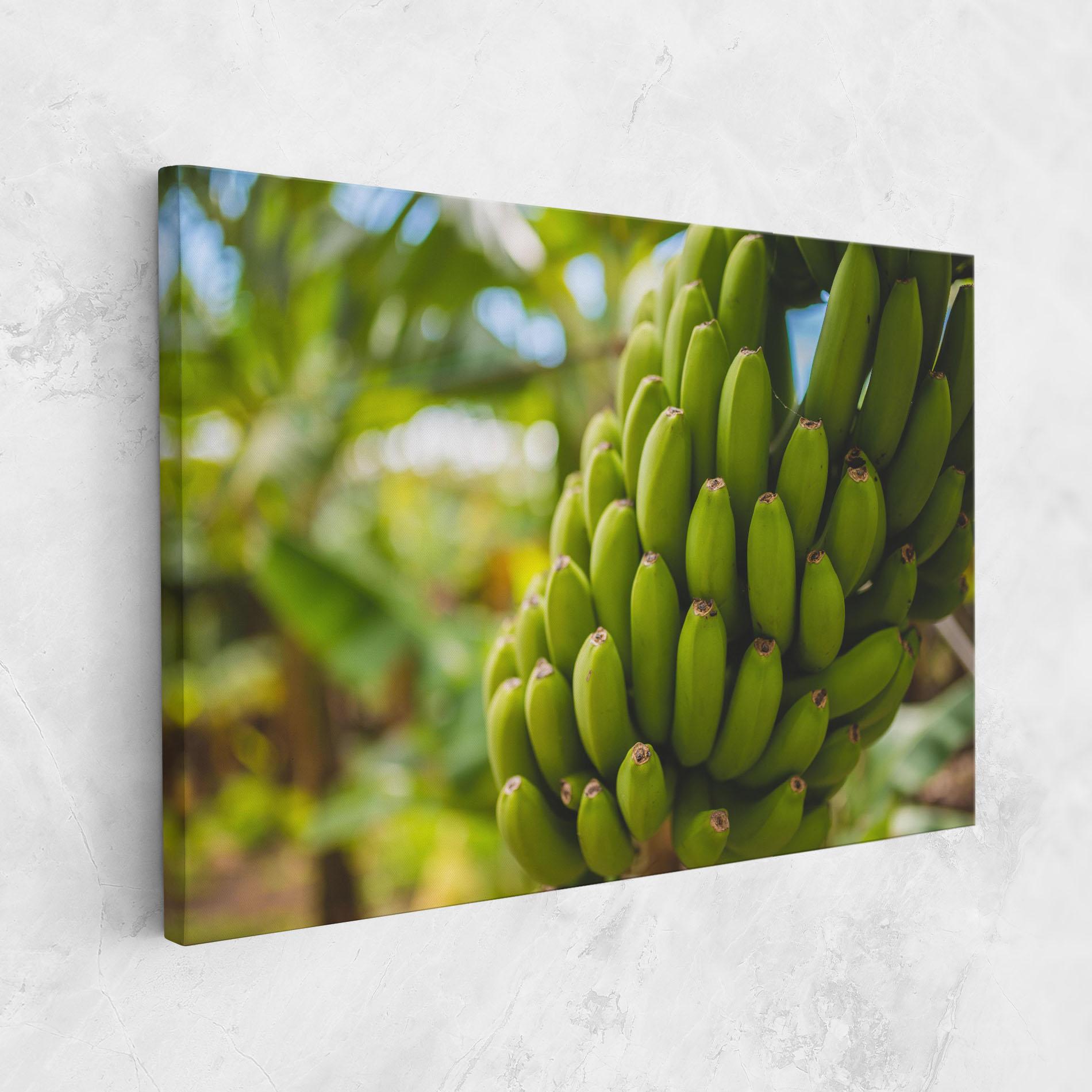 Tablou Canvas Green Banana mockup 1