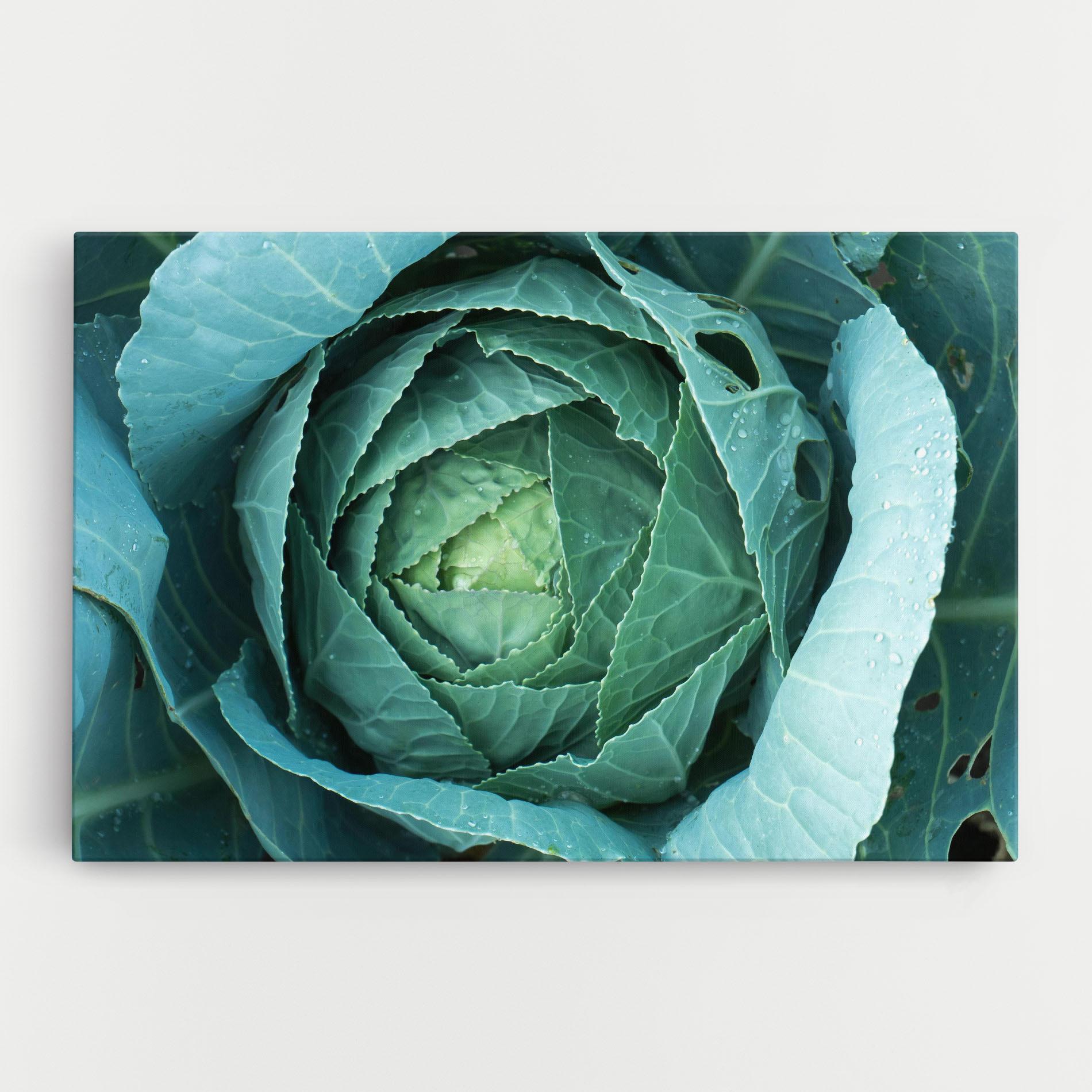 Tablou Canvas Blue Lettuce mockup 0