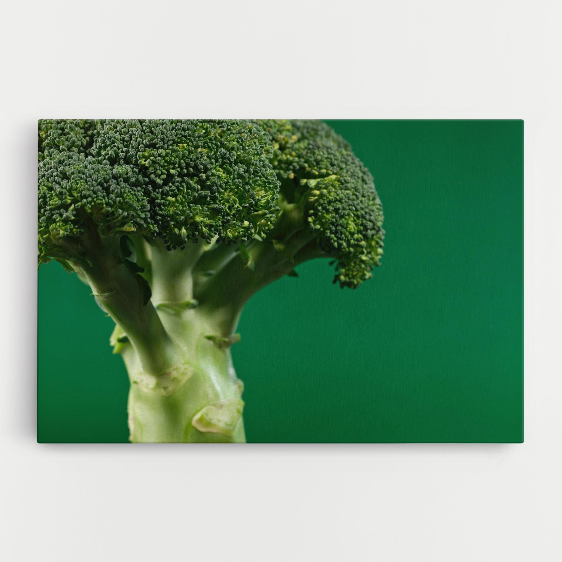 Tablou Canvas Broccoli mockup 0