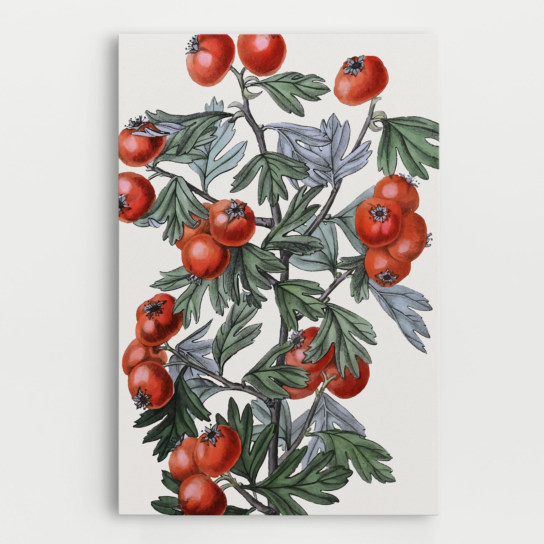 Tablou Canvas Cherry Drawing mockup 0
