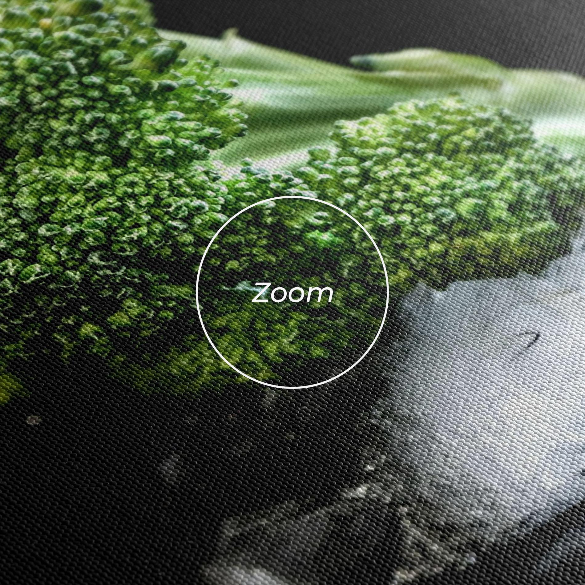 Tablou Canvas Broccoli Water mockup 3