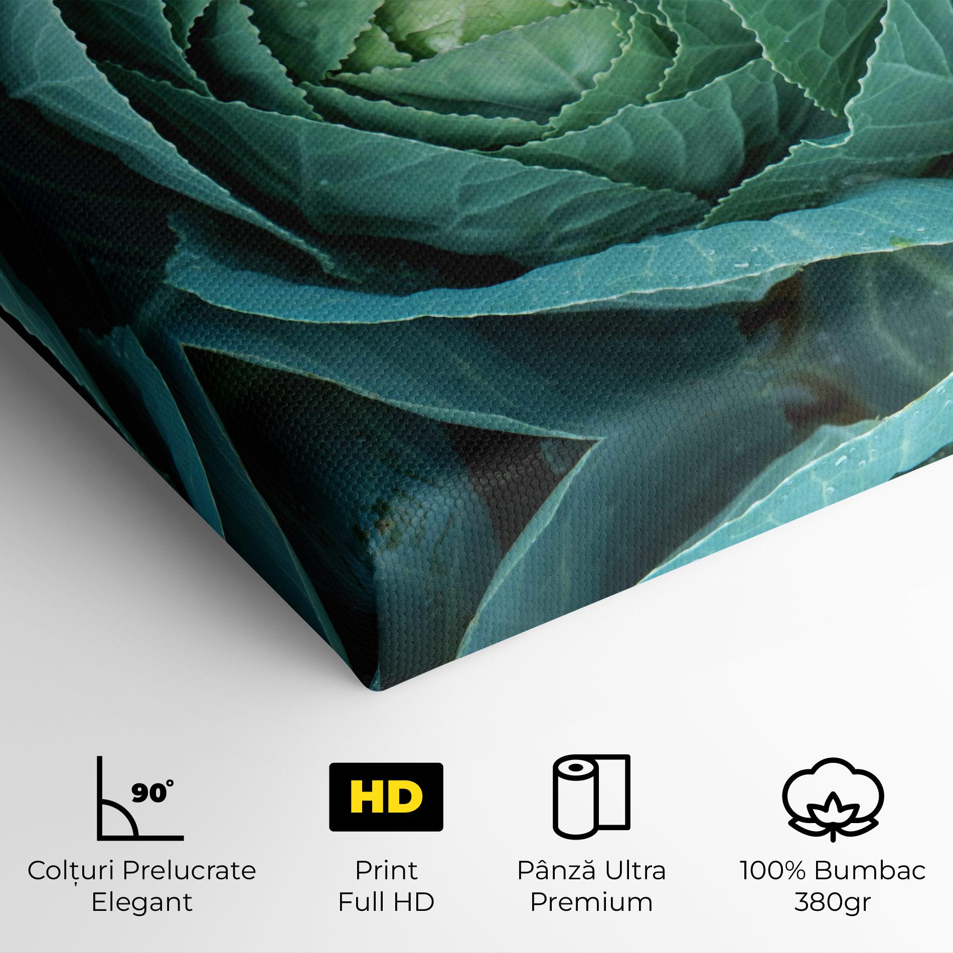 Tablou Canvas Blue Lettuce mockup 4