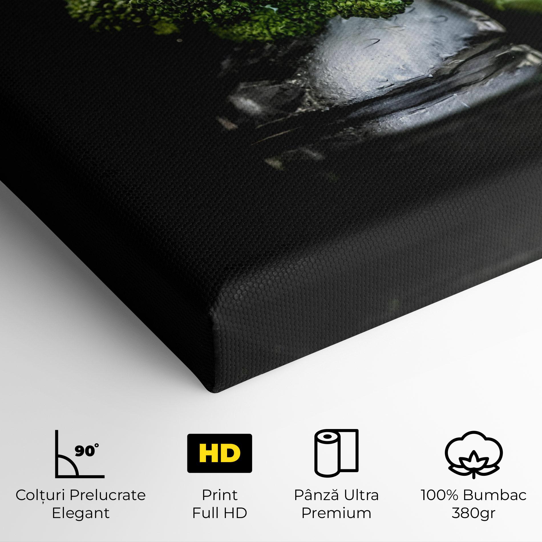 Tablou Canvas Broccoli Water mockup 4