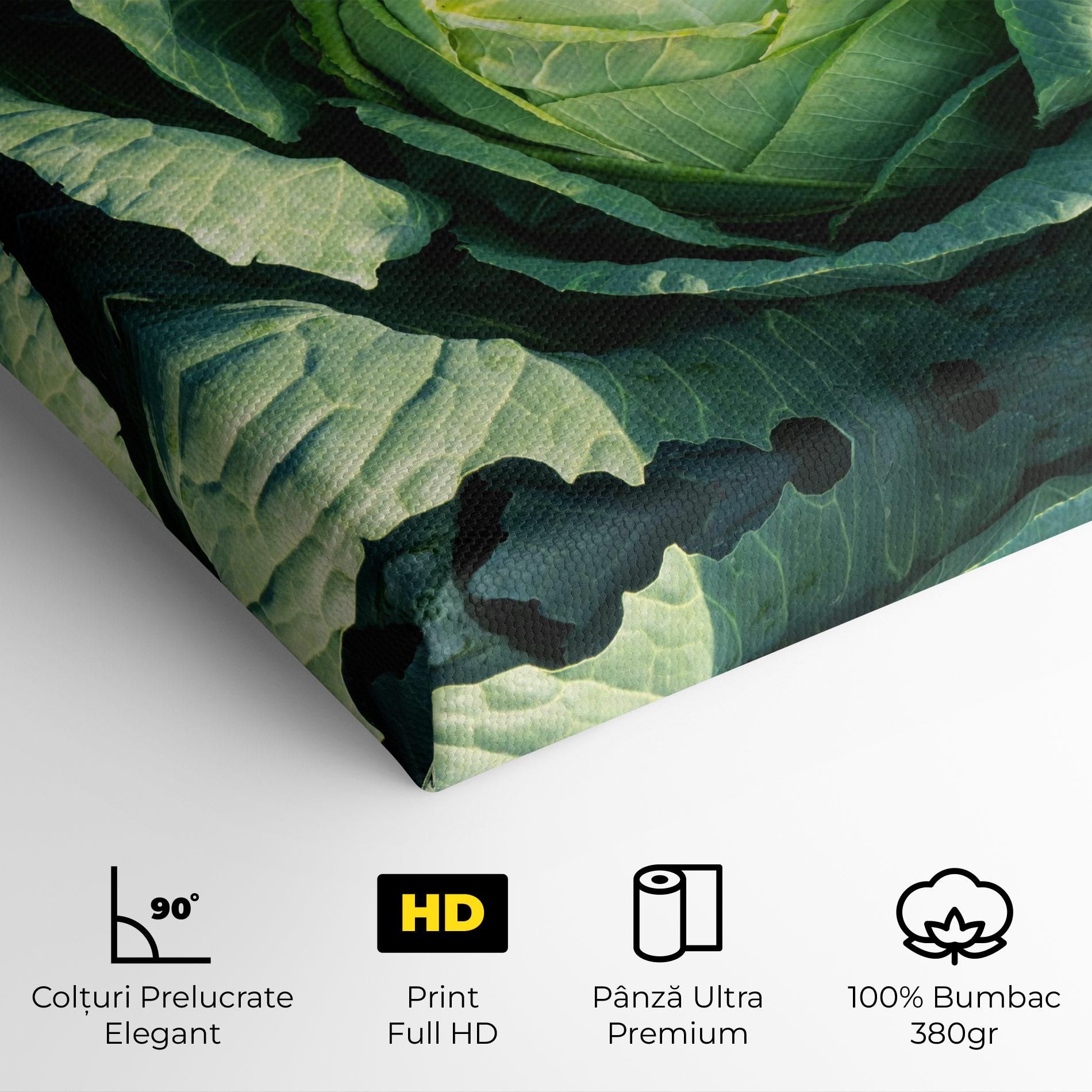 Tablou Canvas Green Lettuce mockup 4