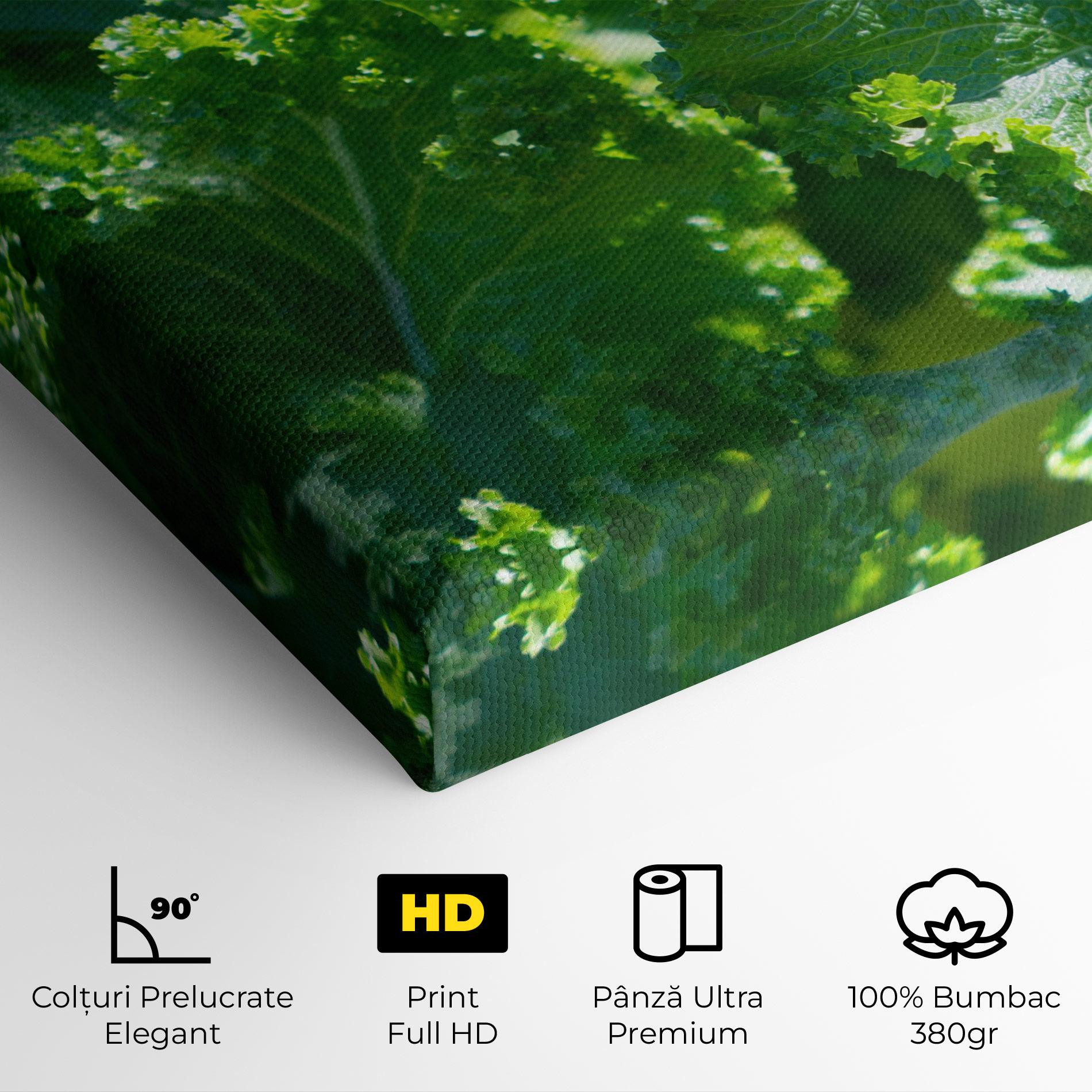 Tablou Canvas Lettuce View mockup 4