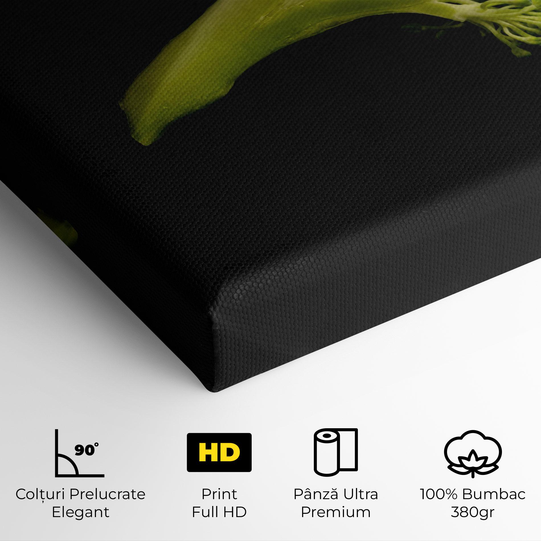 Tablou Canvas Nice Broccoli mockup 4