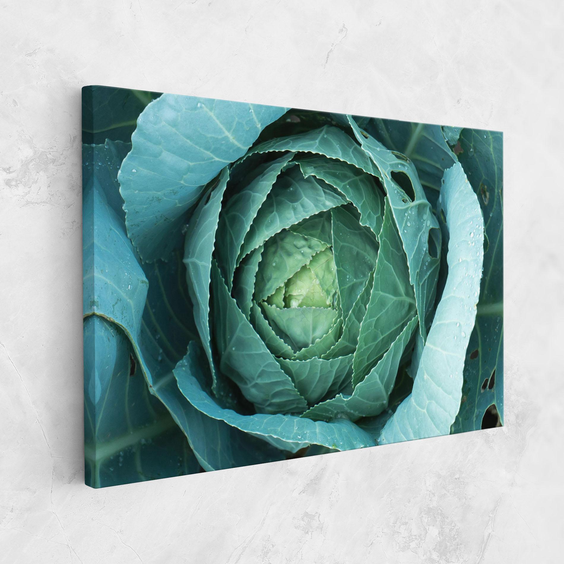 Tablou Canvas Blue Lettuce mockup 1