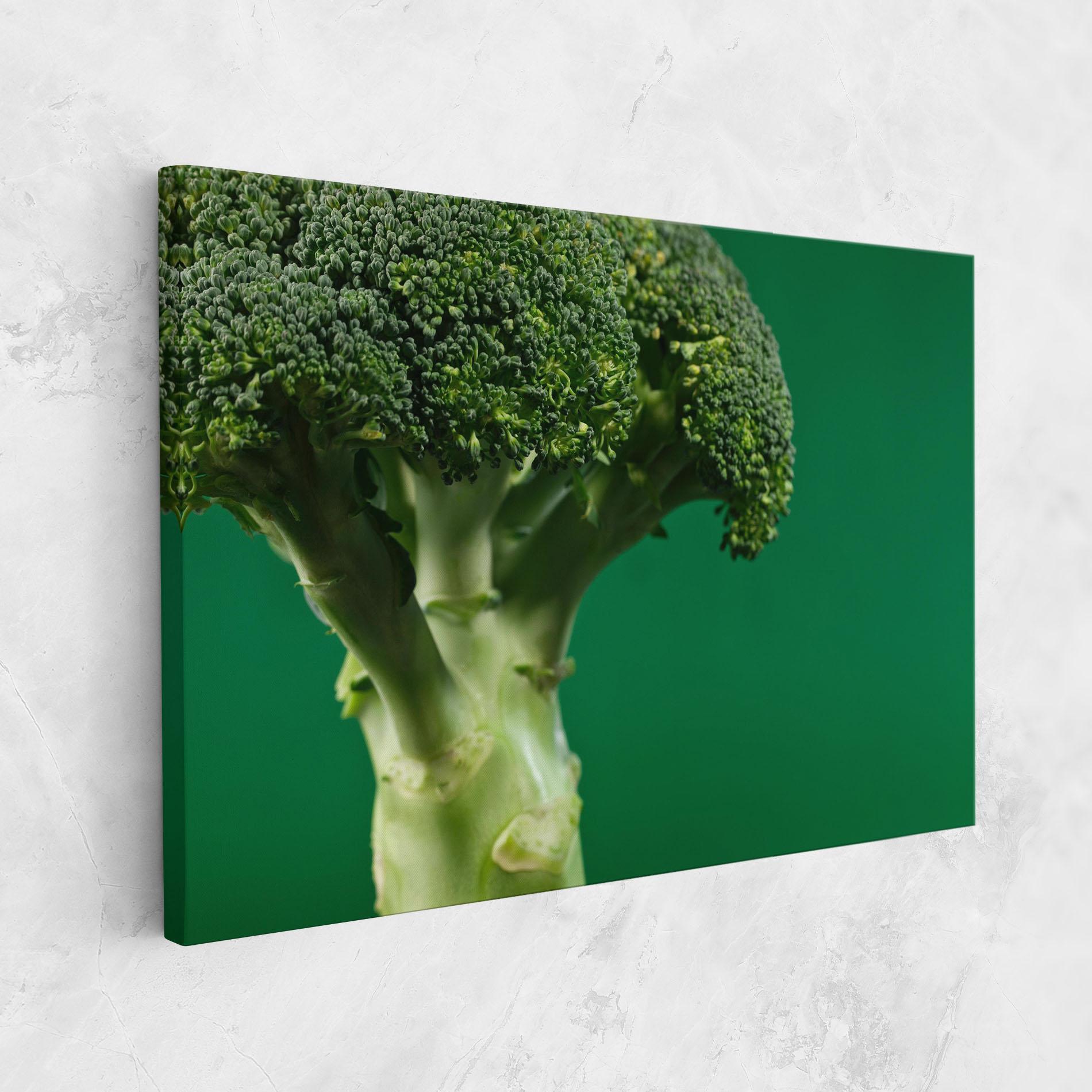 Tablou Canvas Broccoli mockup 1