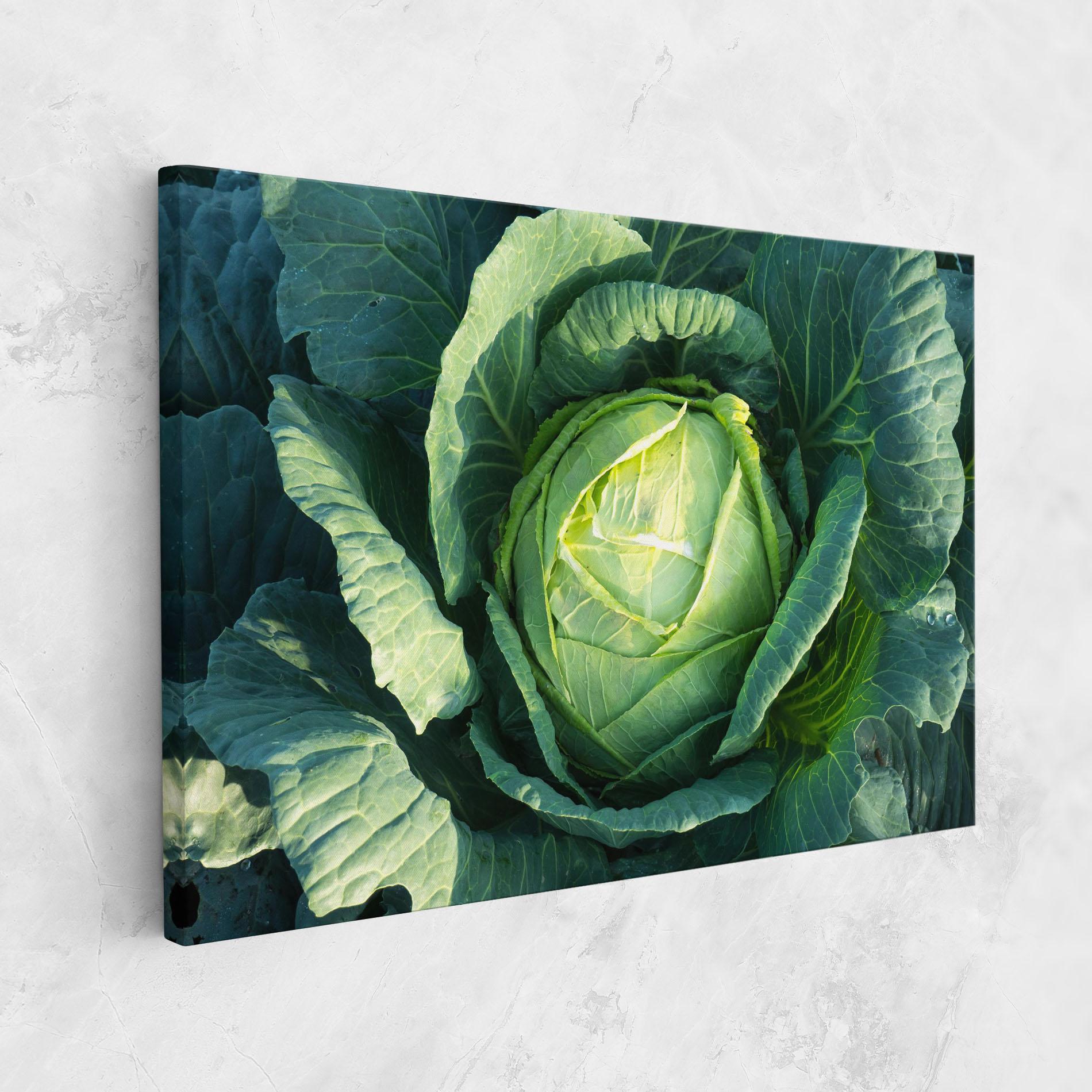 Tablou Canvas Green Lettuce mockup 1