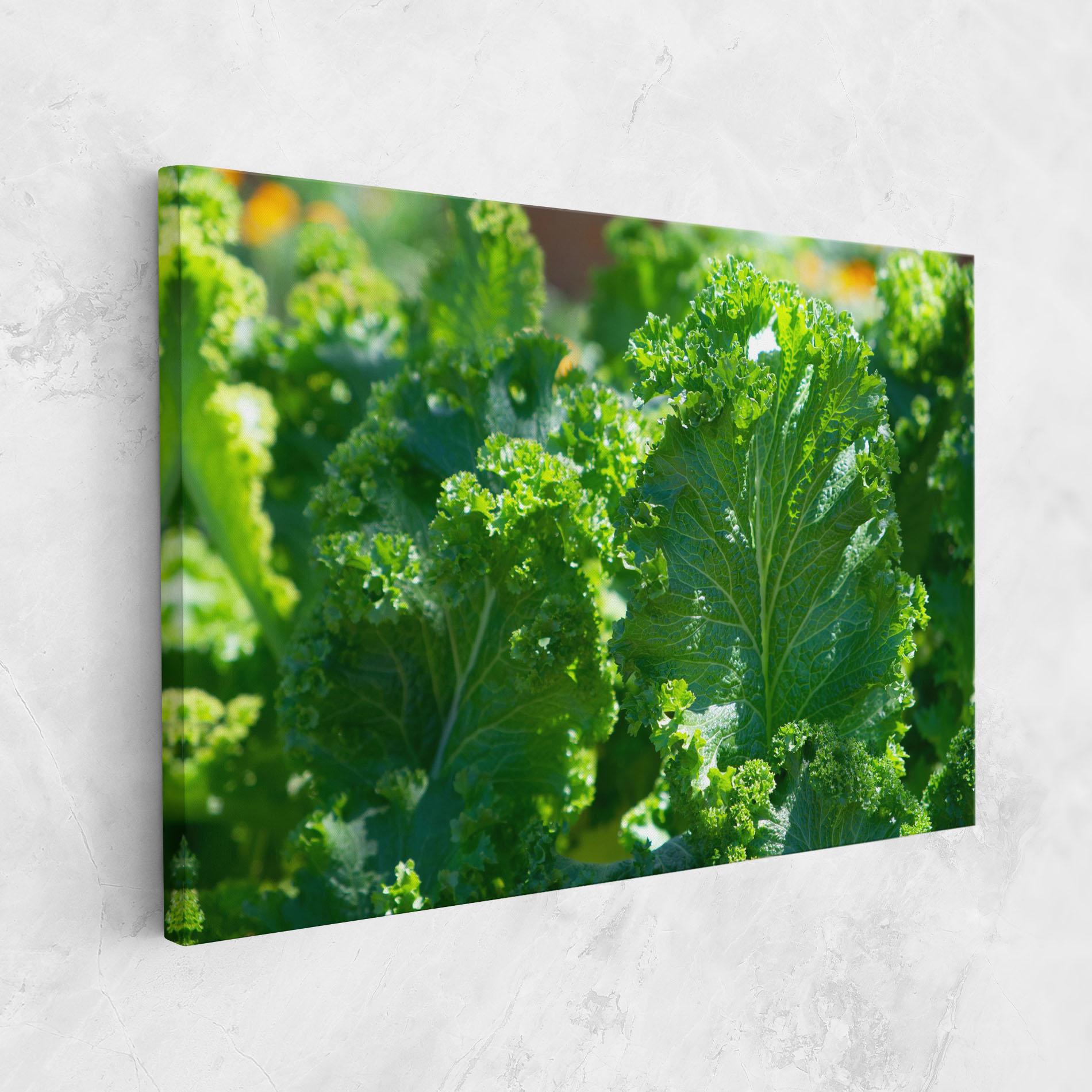 Tablou Canvas Lettuce View mockup 1