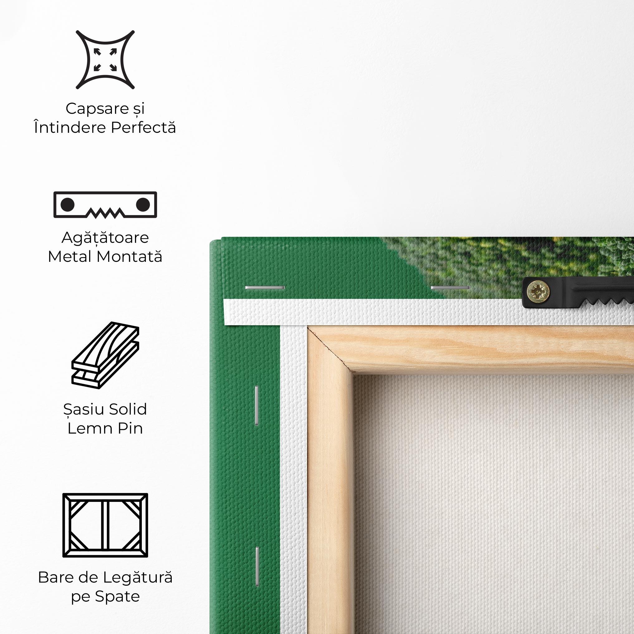 Tablou Canvas Broccoli mockup 5
