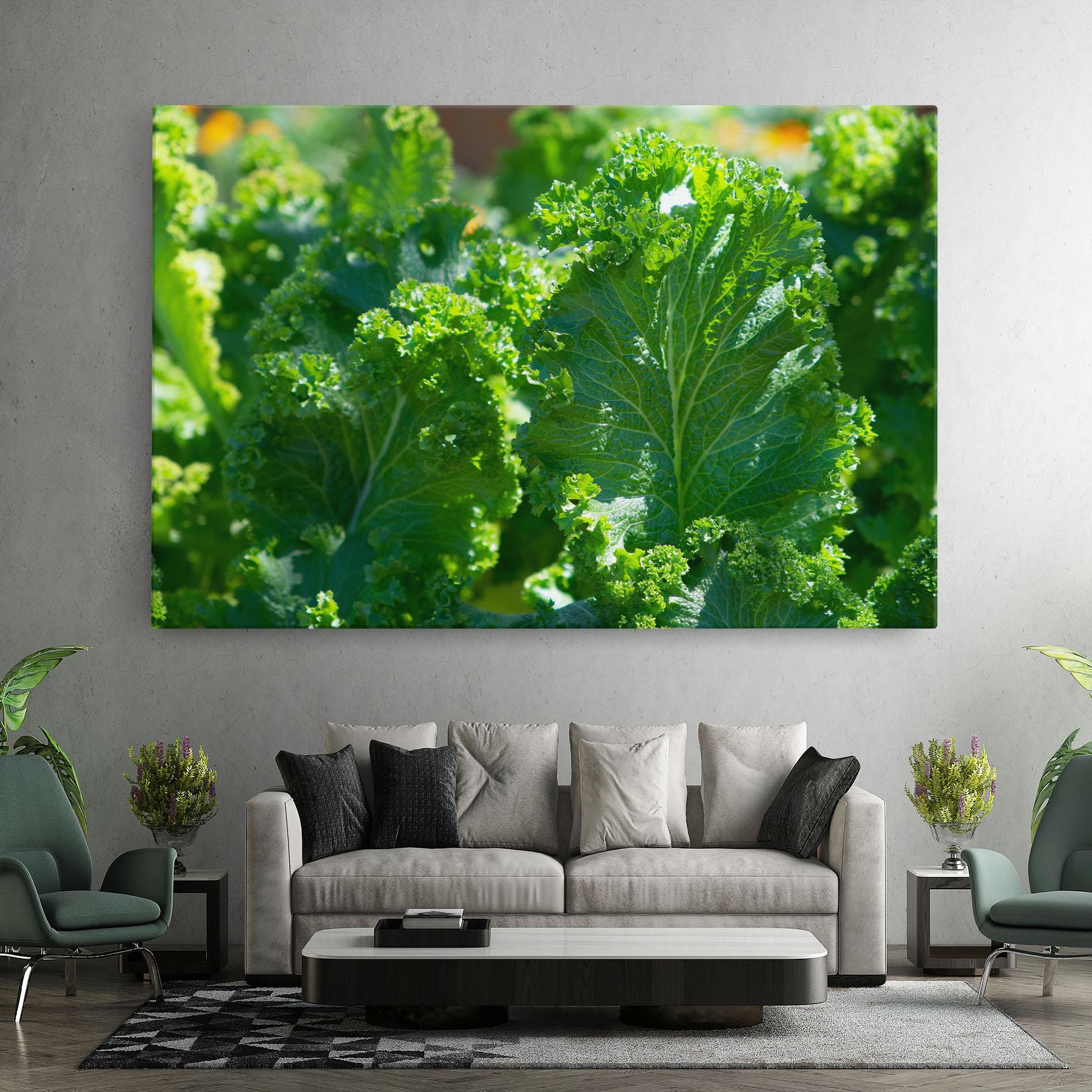 Tablou Canvas Lettuce View mockup 7