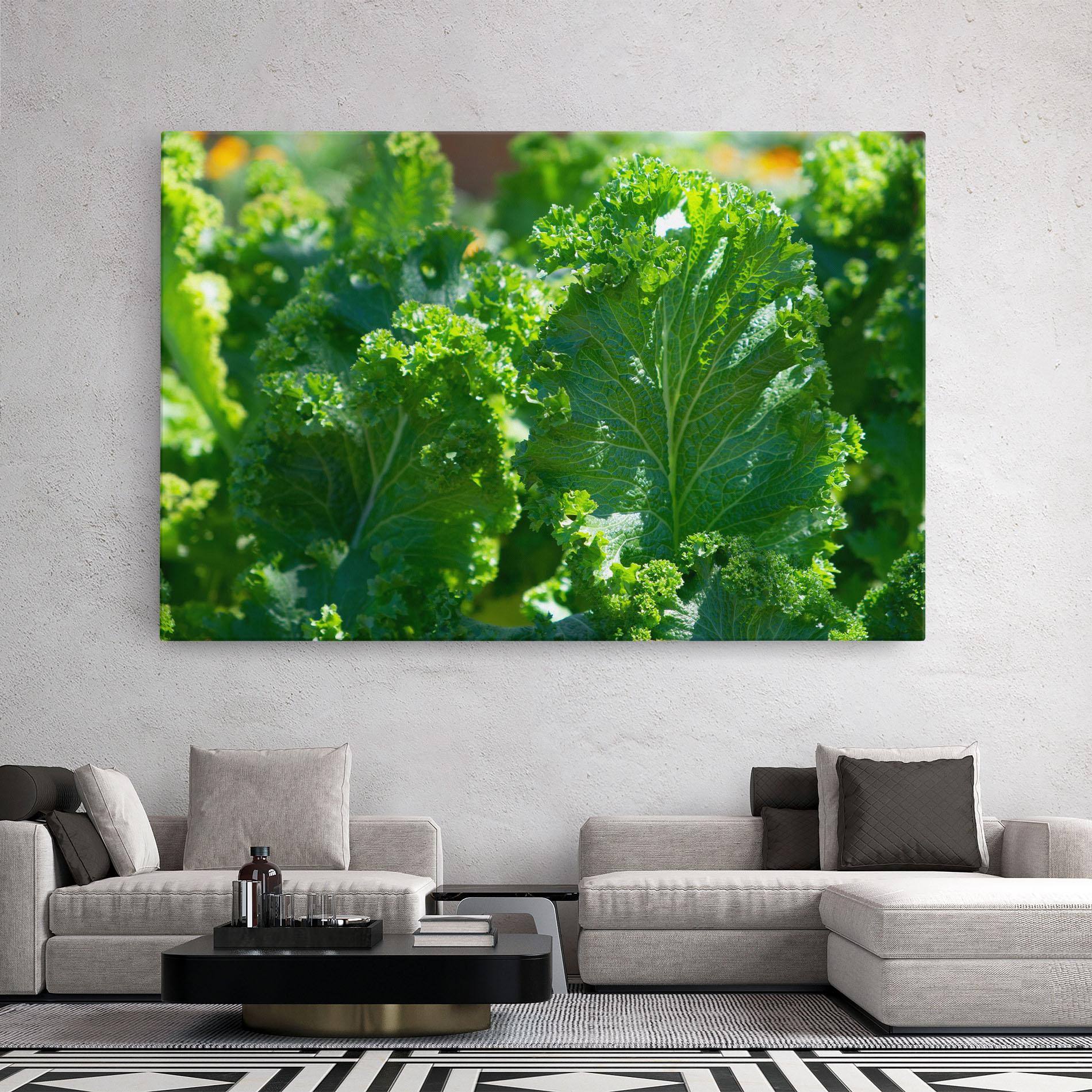 Tablou Canvas Lettuce View mockup 2