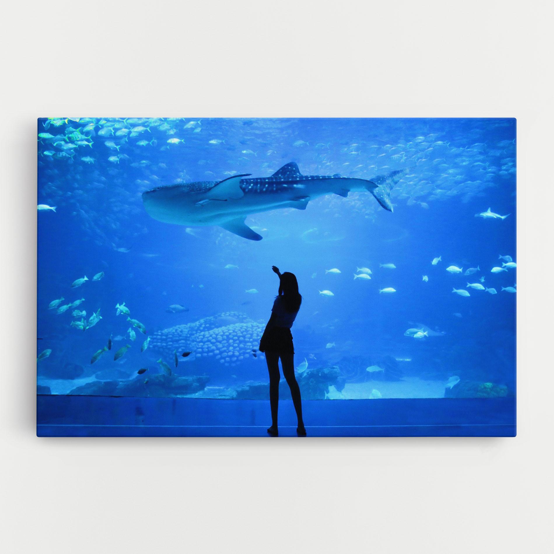 Tablou Canvas Aquarium Girl mockup 0