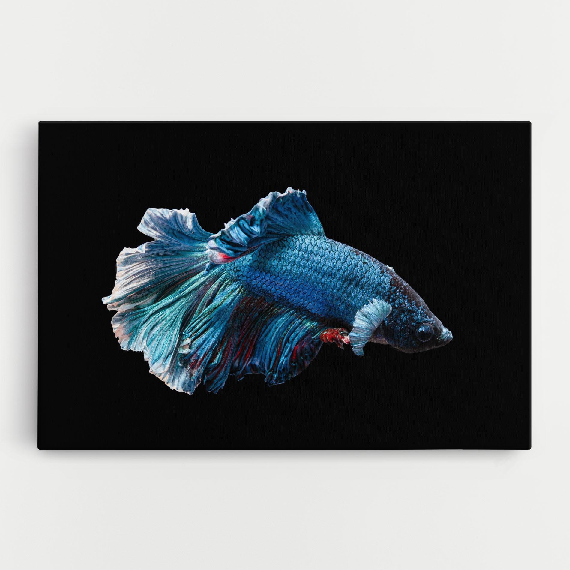Tablou Canvas Blue Betta mockup 0