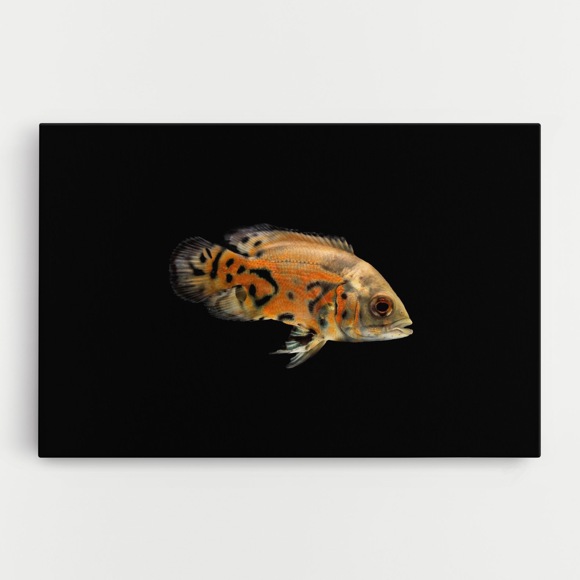 Cute Brown Fish mockup 0