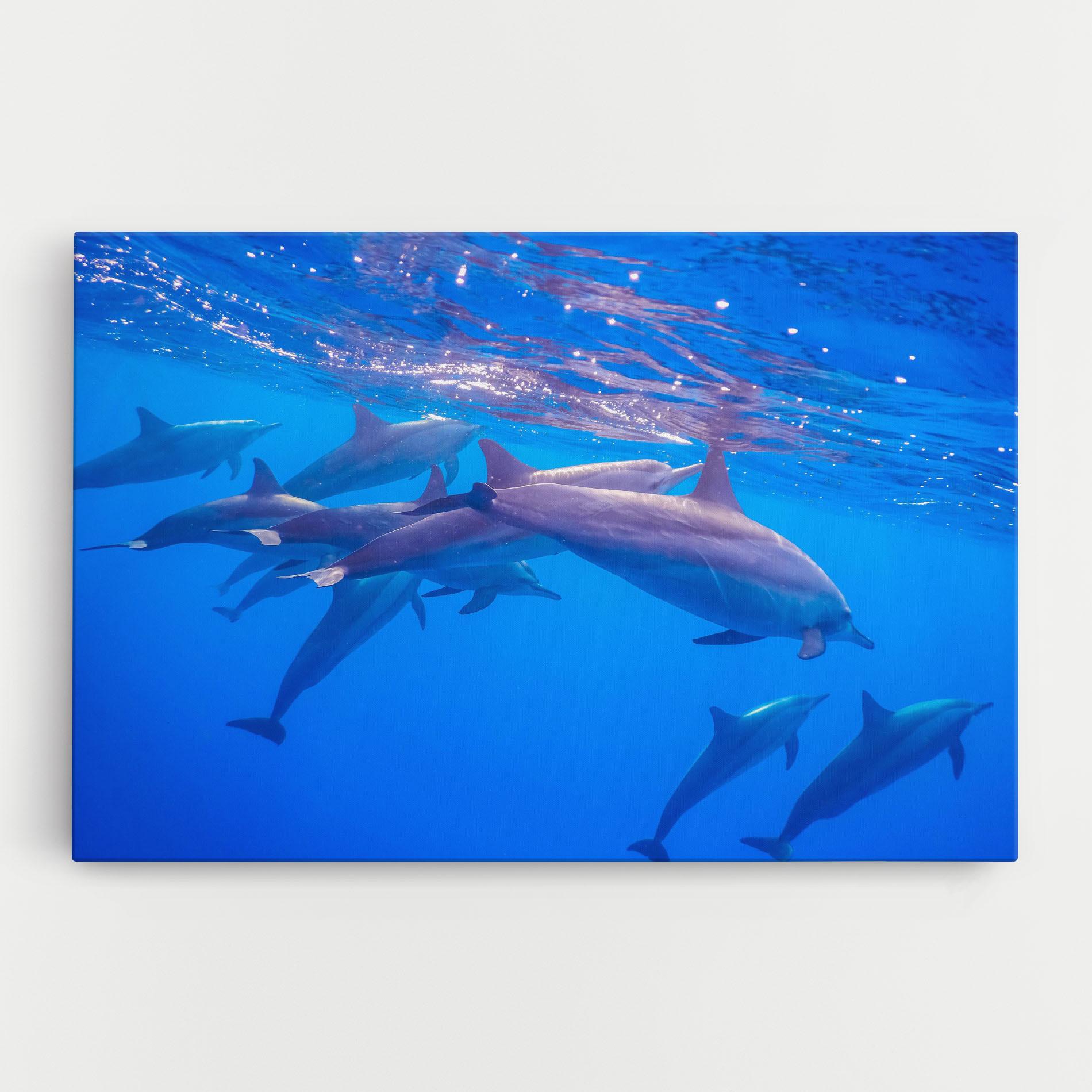 Tablou Canvas Dolphin Family mockup 0