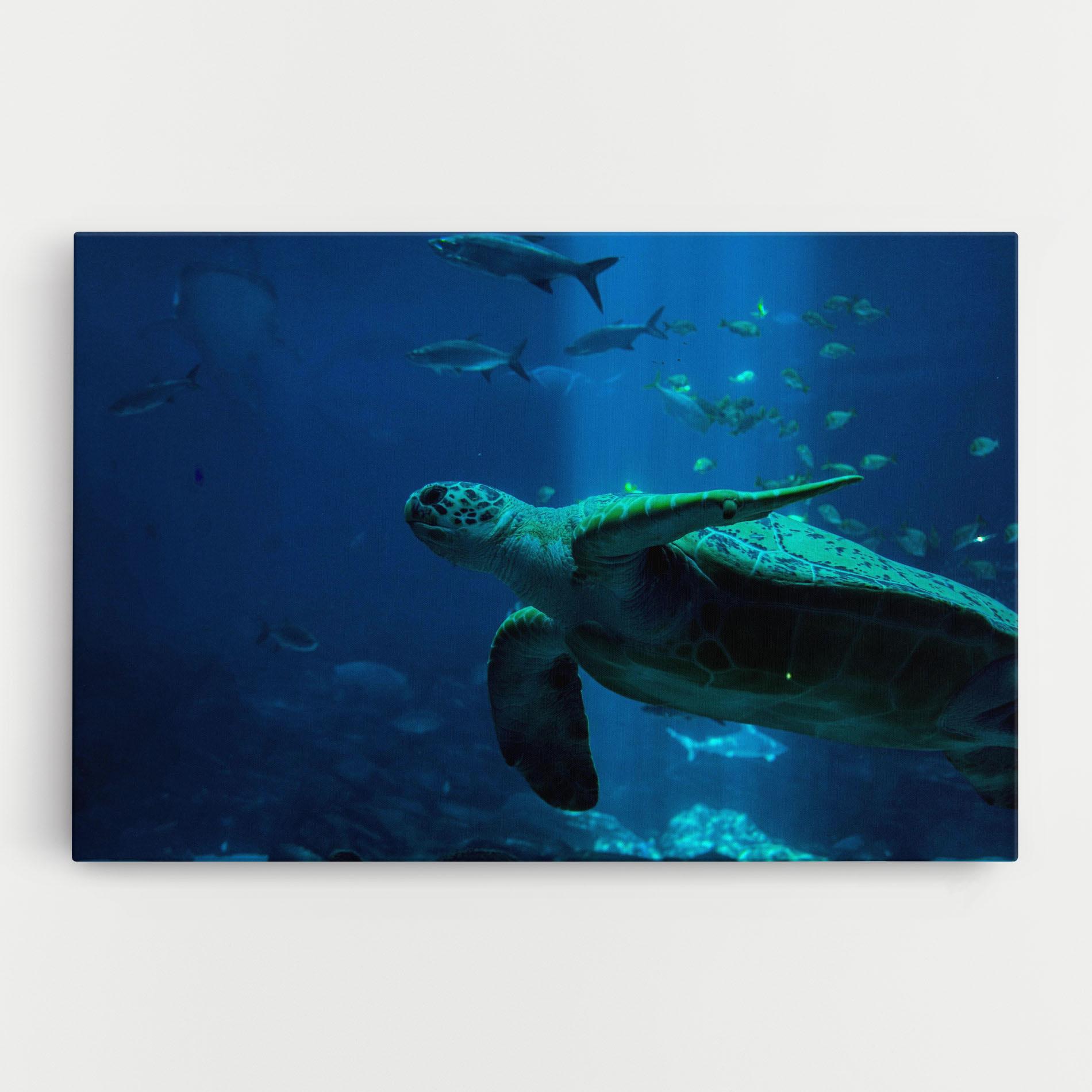 Tablou Canvas Green Turtule mockup 0