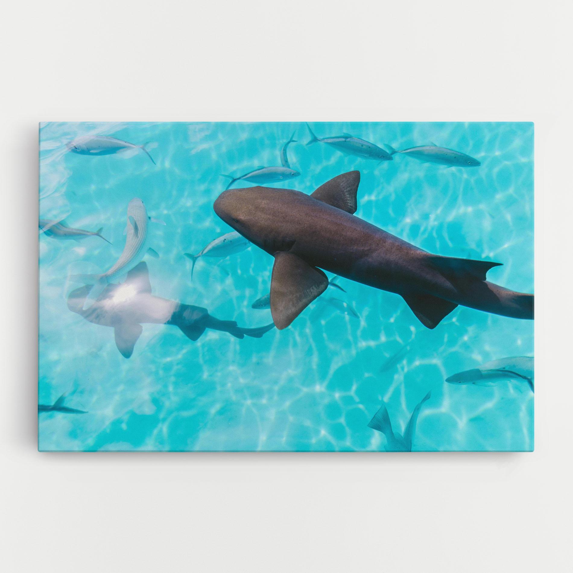 Tablou Canvas Pretty Shark mockup 0