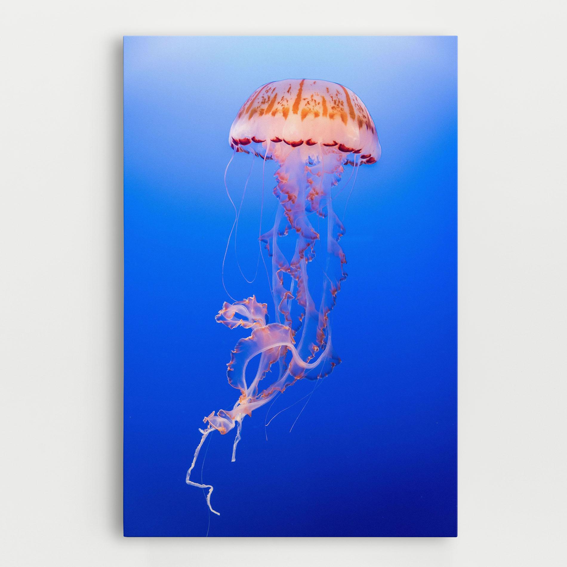 Tablou Canvas Pretty White Jellyfish mockup 0