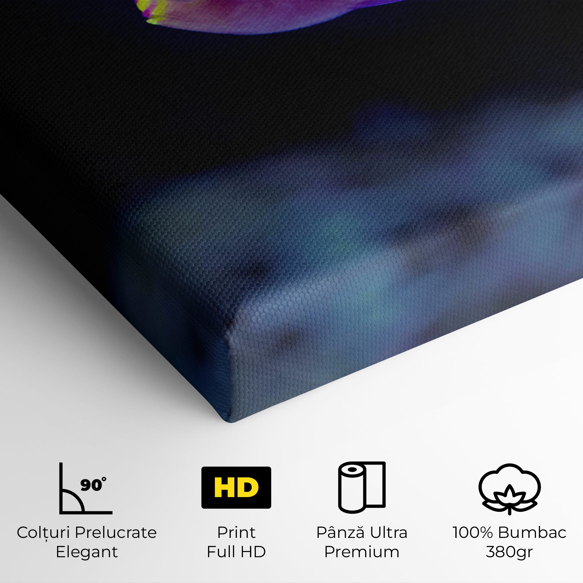 Angry Pink Fish mockup 4