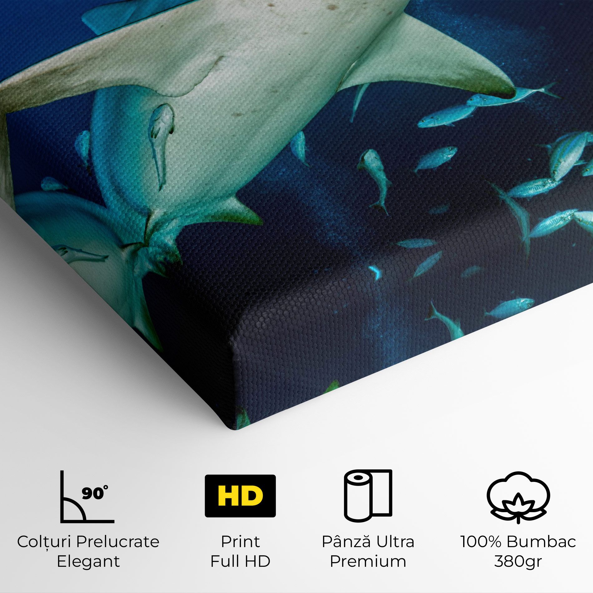 Bull Shark mockup 4