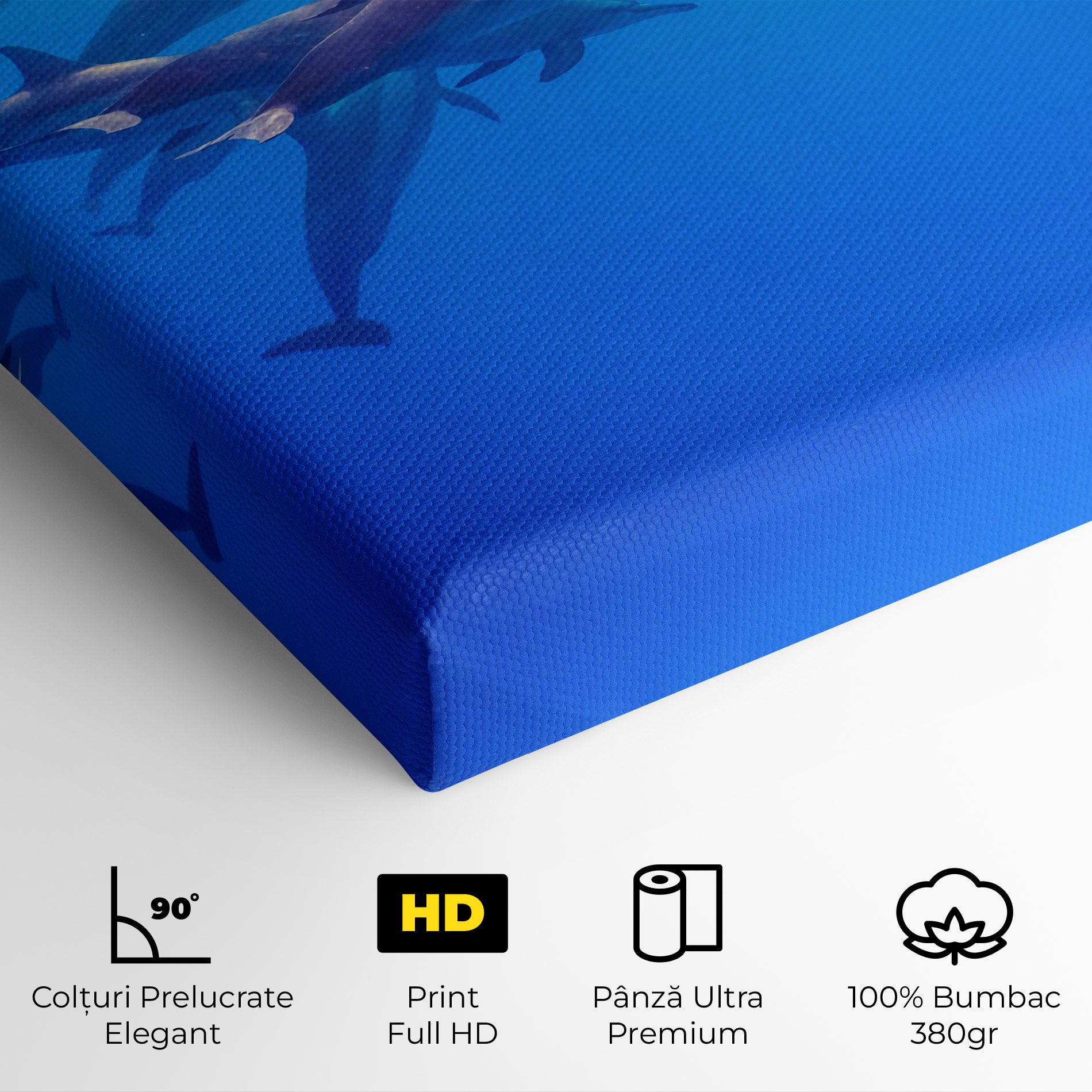 Dolphin Family mockup 4