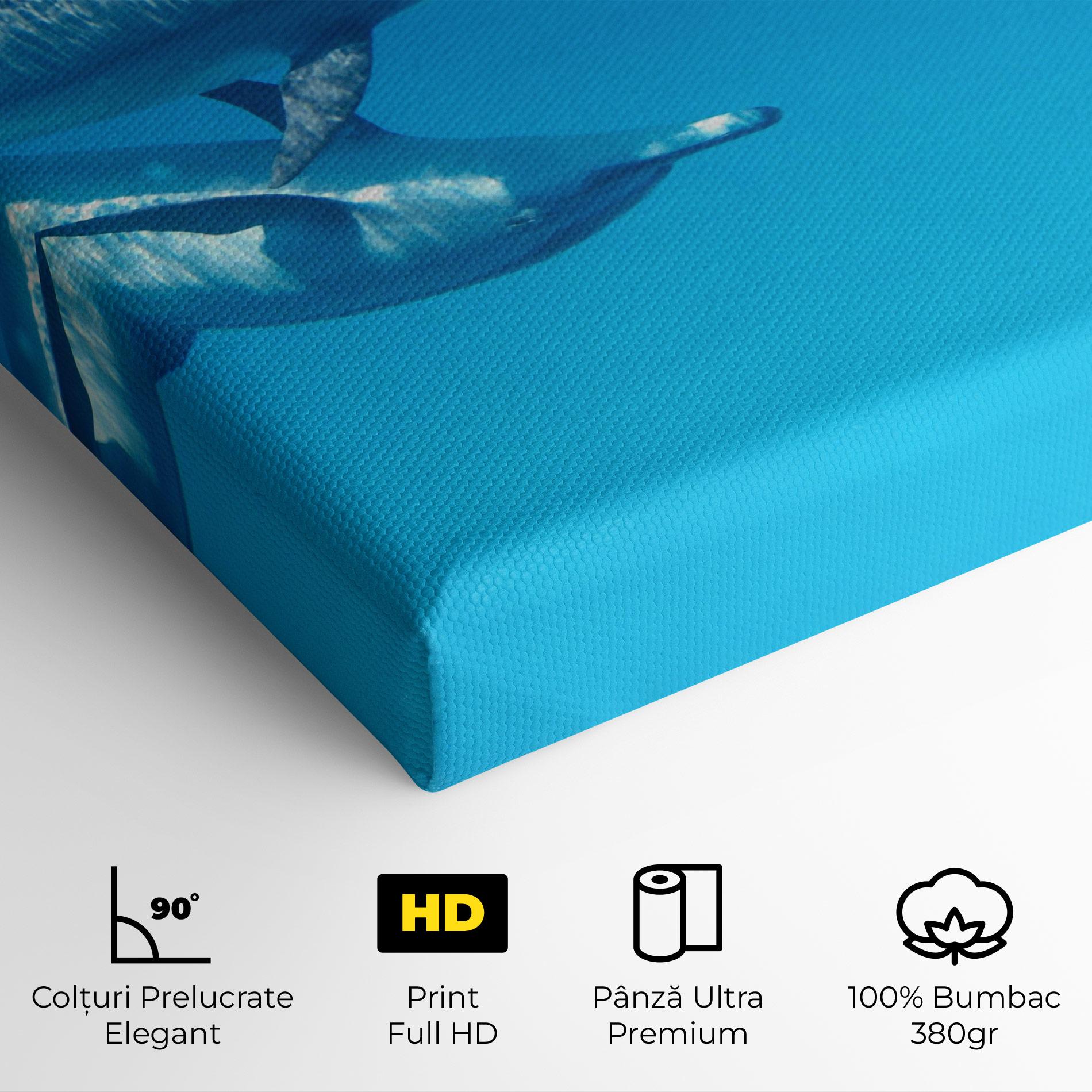 Tablou Canvas Family Of Dolphins mockup 4