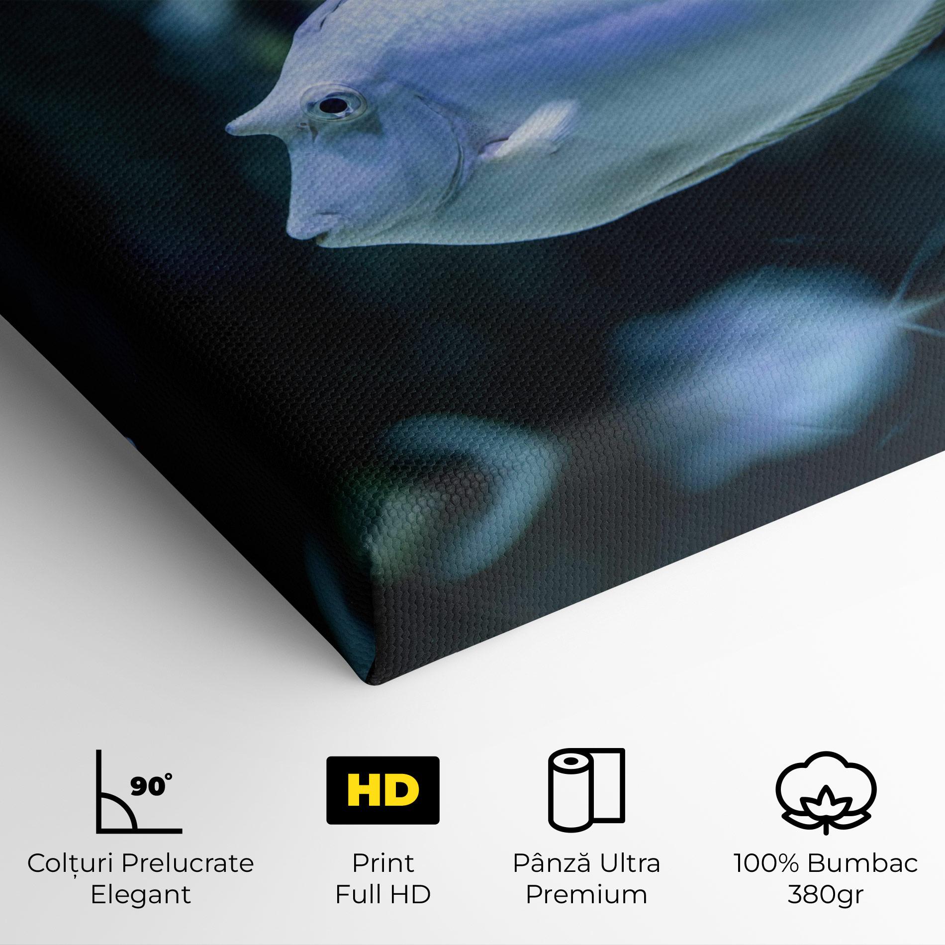Tablou Canvas Funny Face Fish mockup 4