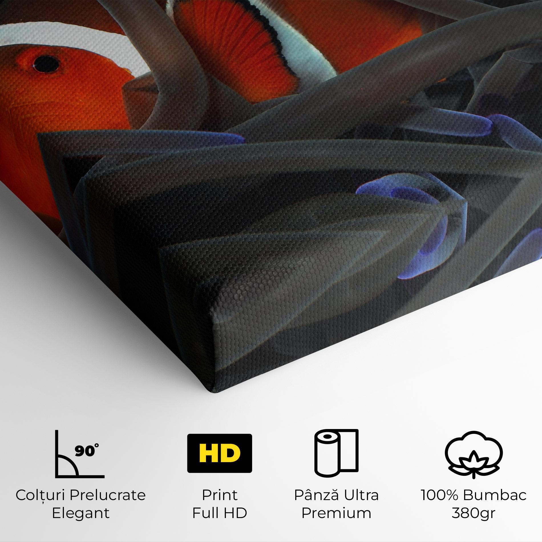 Tablou Canvas Nemo Hiding mockup 4