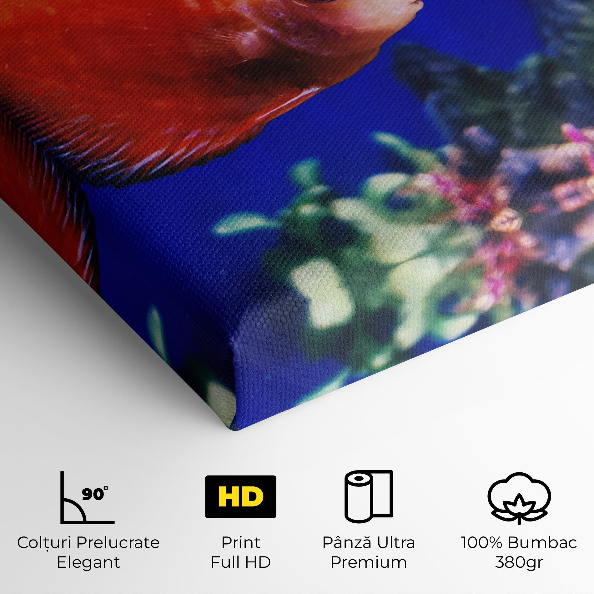 Pretty Orange Fish mockup 4