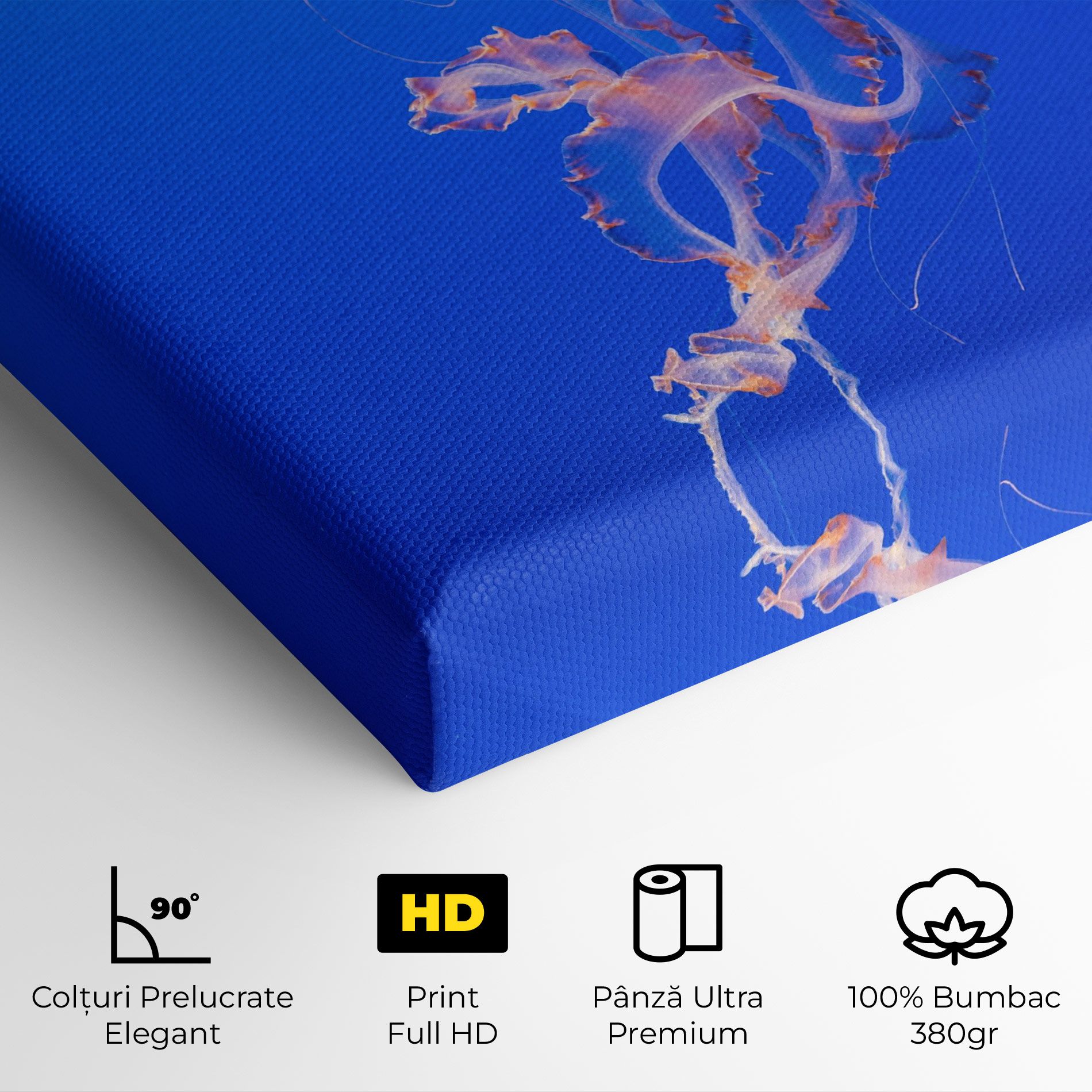 Pretty White Jellyfish mockup 4