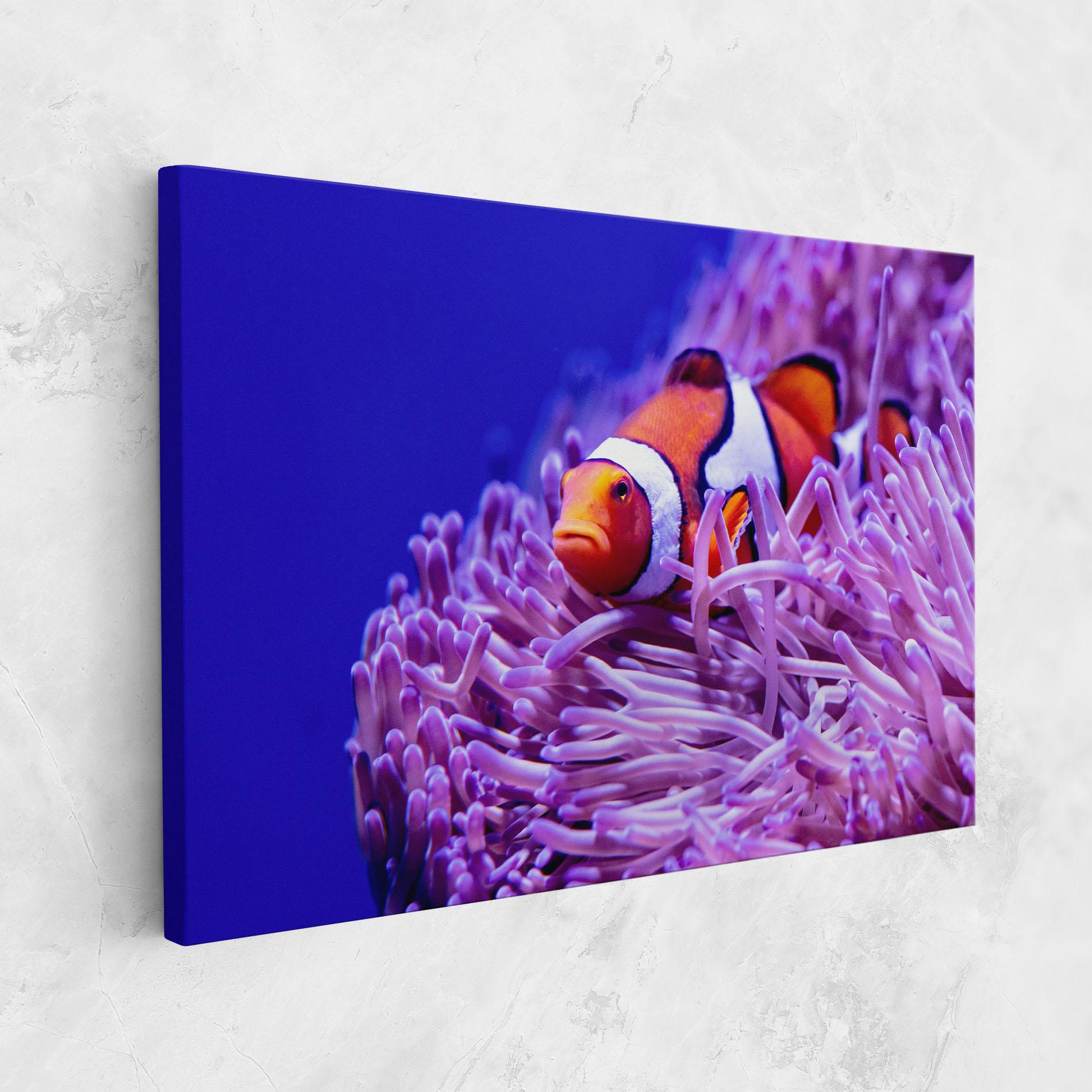 Tablou Canvas Angry Nemo mockup 1