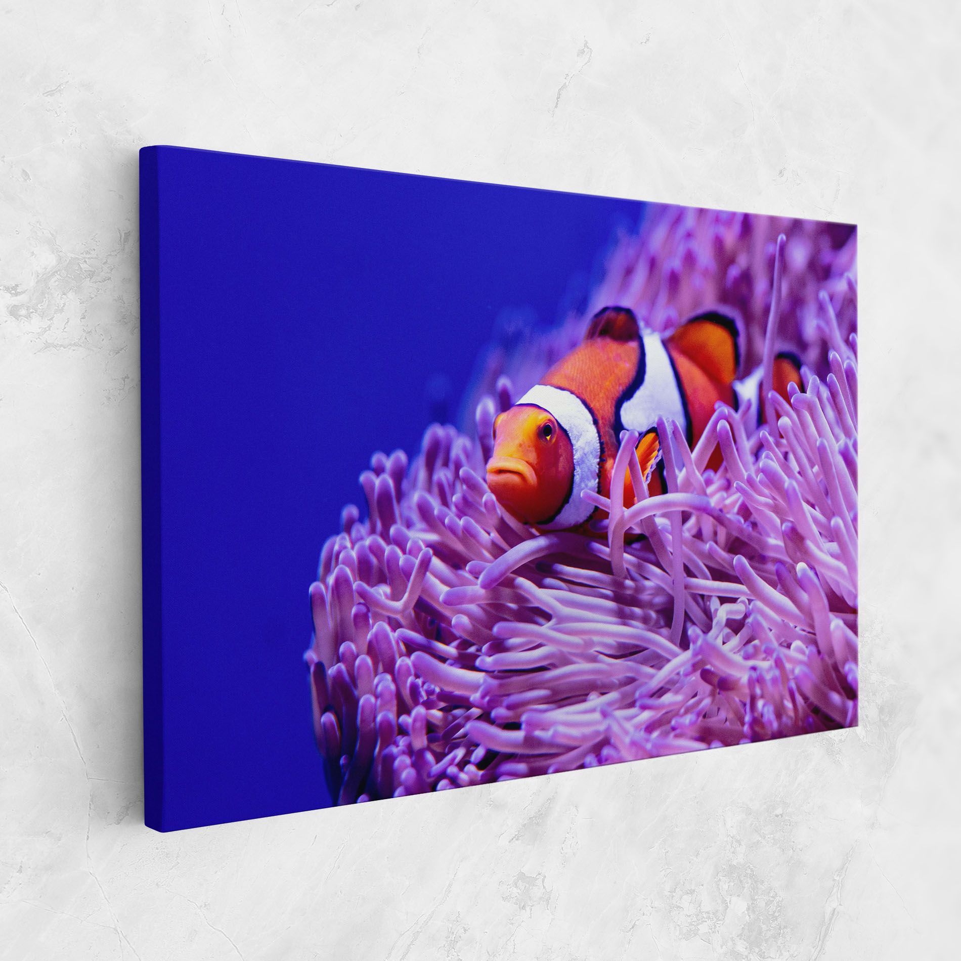 Angry Nemo mockup 1