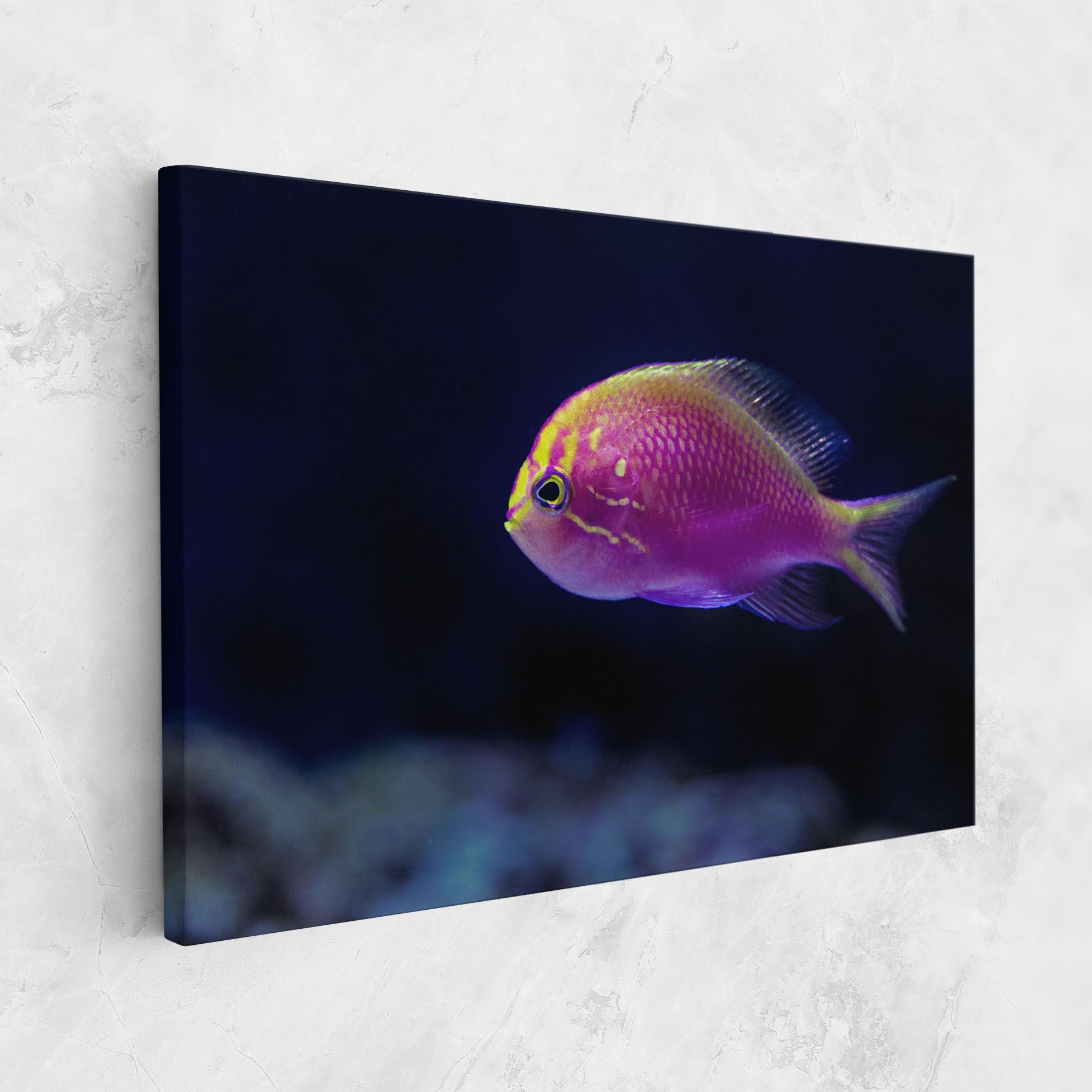 Angry Pink Fish mockup 1
