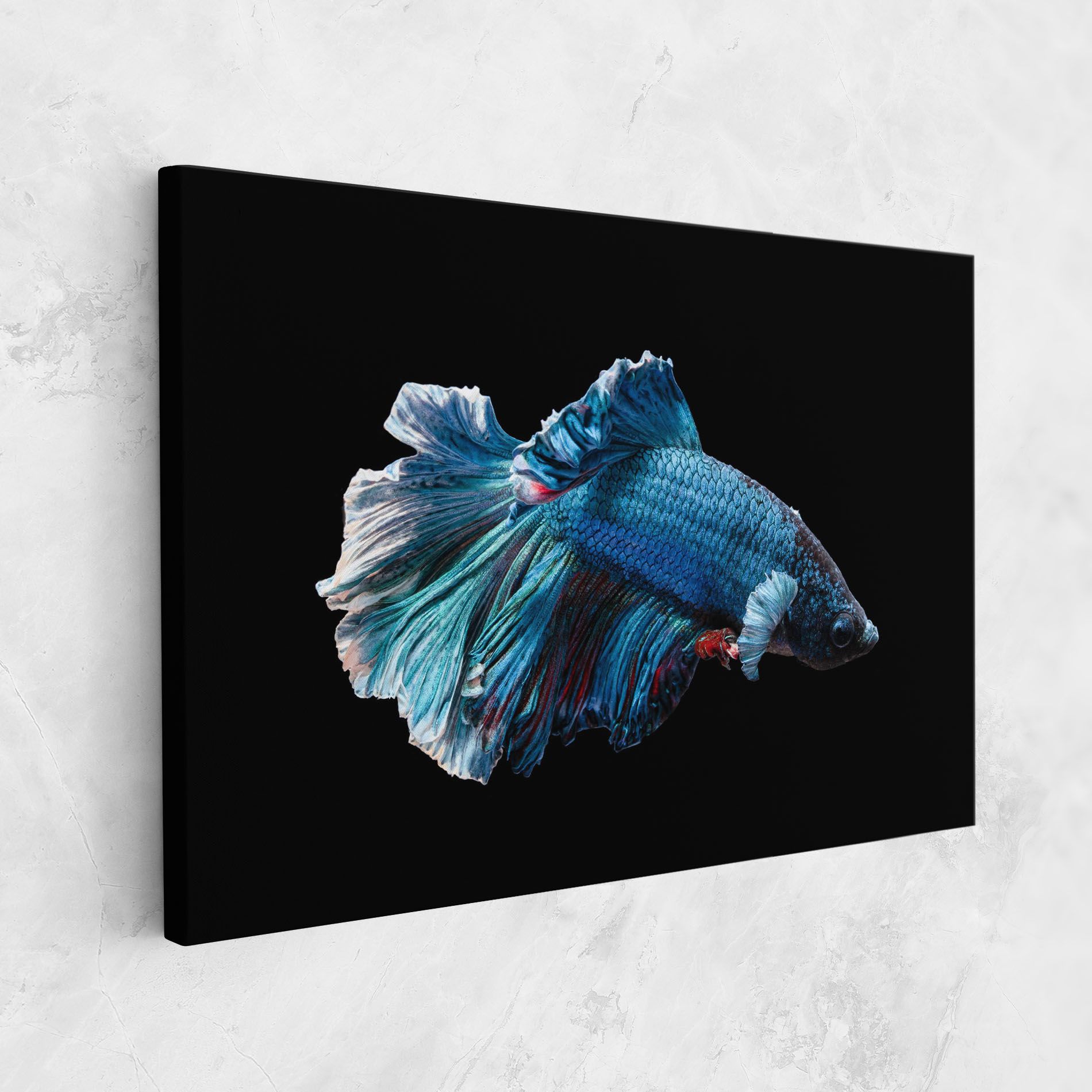 Blue Betta mockup 1